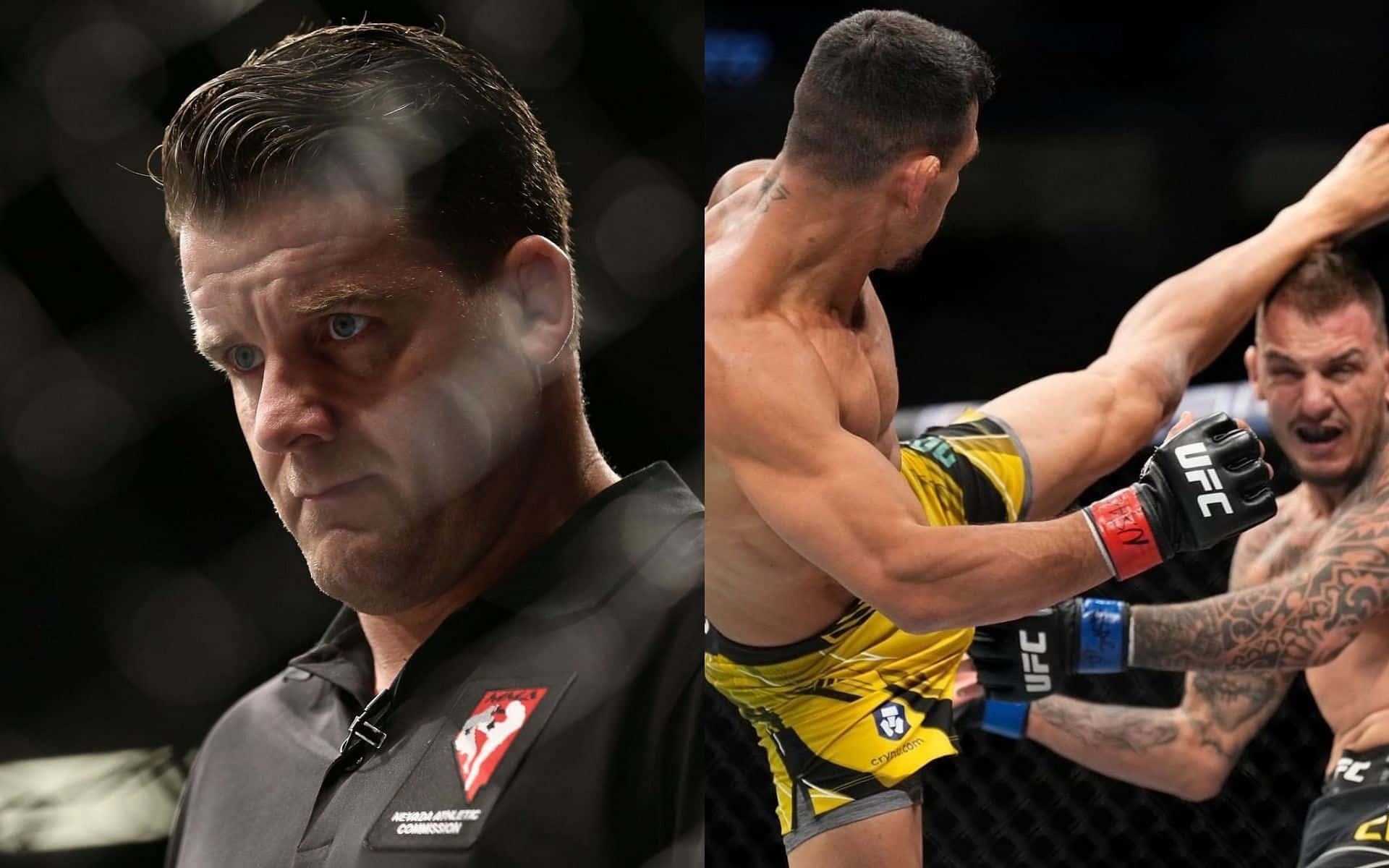 Renato Moicano, UFC referee, octagon, Full HD Desktop Wallpaper