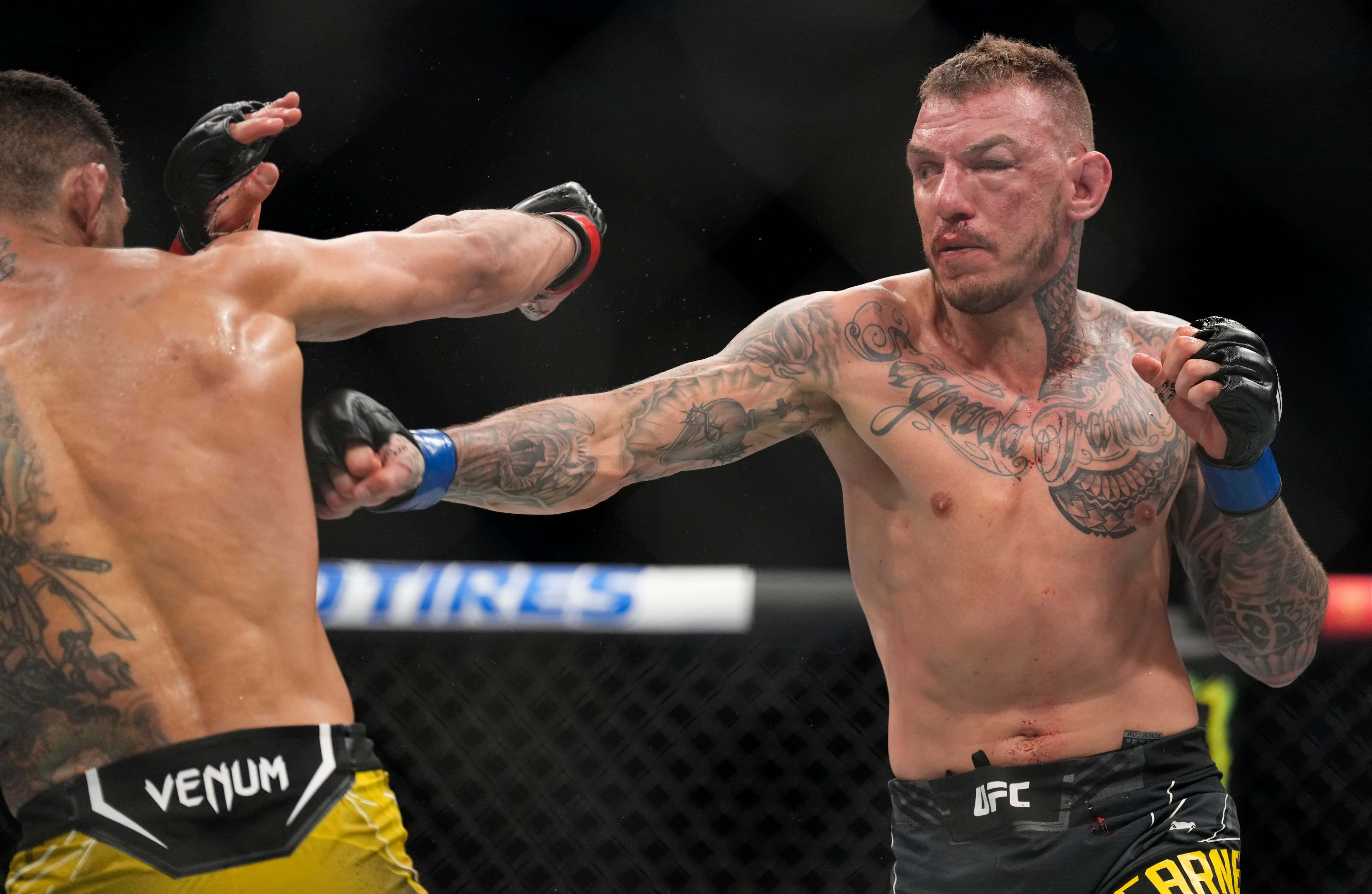 Renato Moicano, right jab, cage match, 5K Desktop Wallpaper