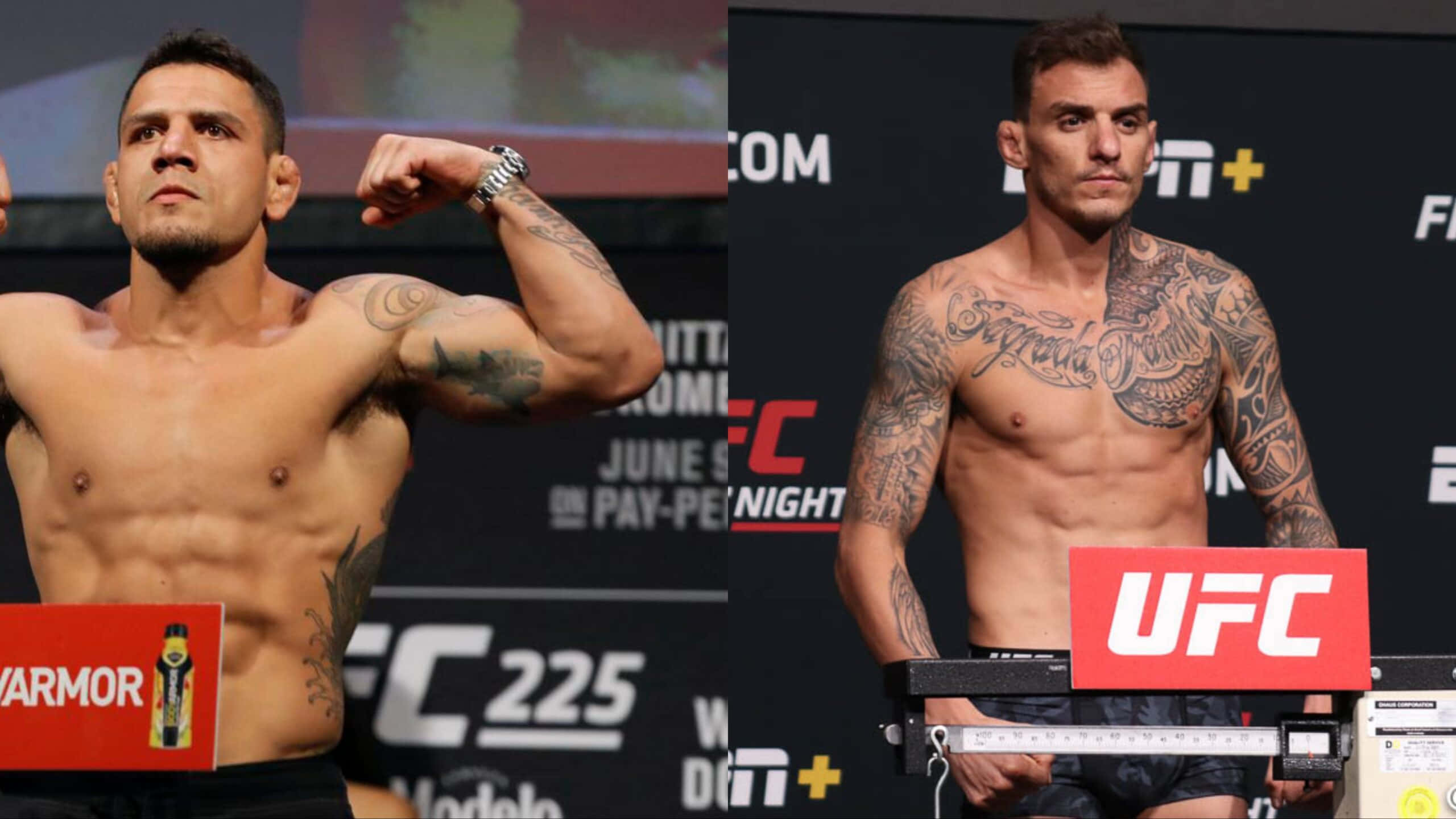 Renato Moicano, UFC fighters, scale, 2K Desktop Wallpaper