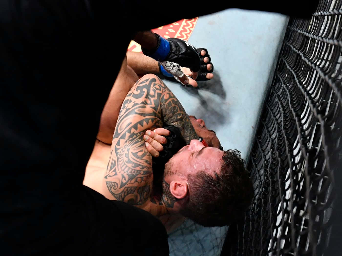 Renato Moicano, cage fence, mixed martial arts match, HD Desktop Wallpaper