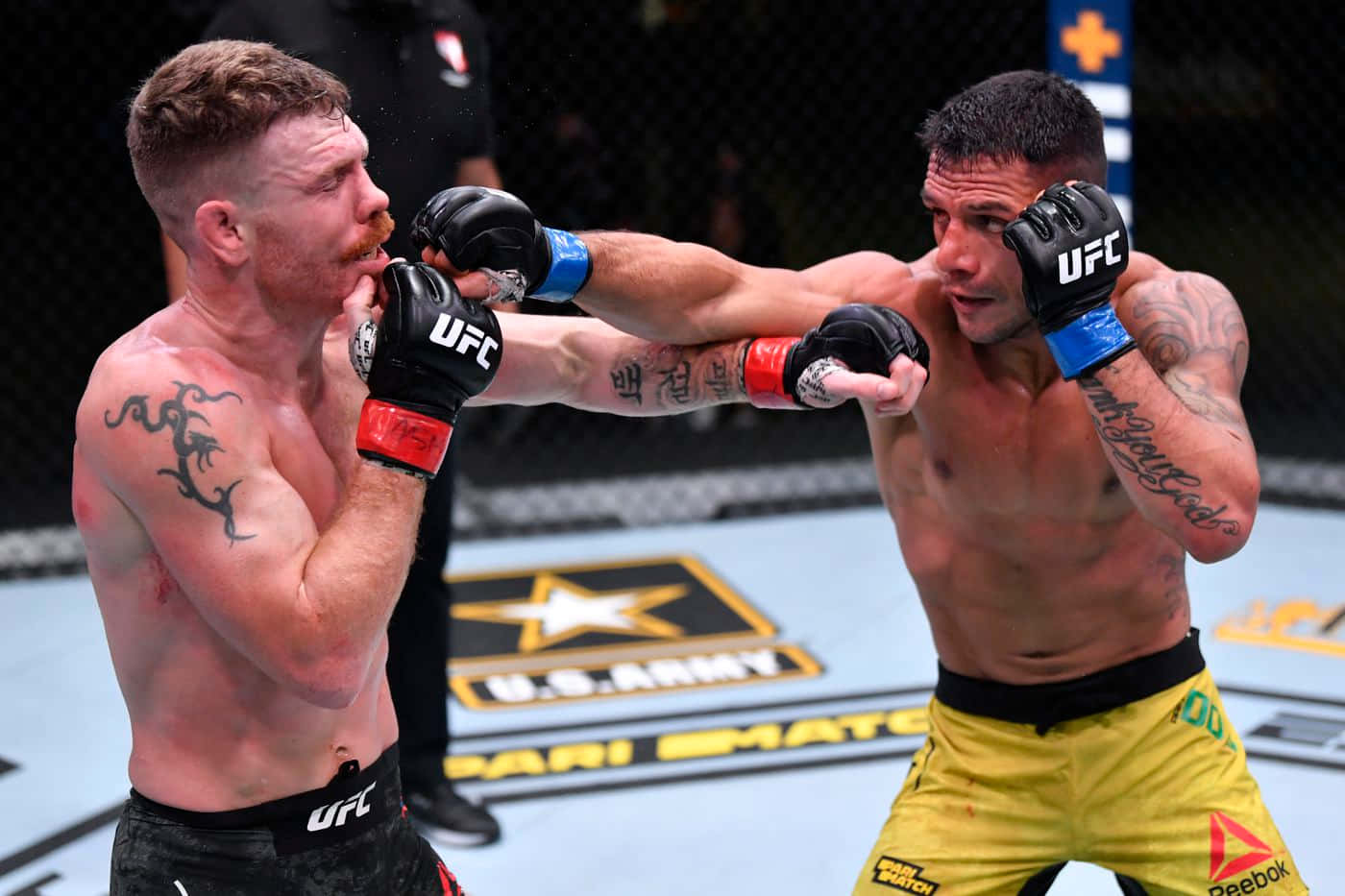 Renato Moicano, MMA fighters, cage match, HD Desktop Wallpaper