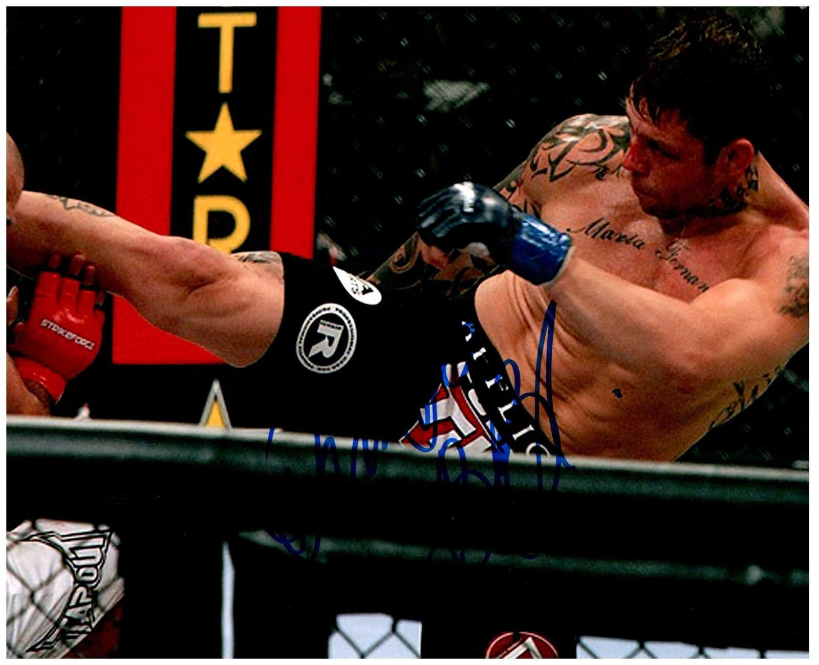 Renato Sobral, 2010 Strikeforce Match, black shorts, HD Desktop Wallpaper