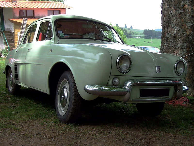 Renault Dauphine, pale green, grass, SD Desktop Wallpaper