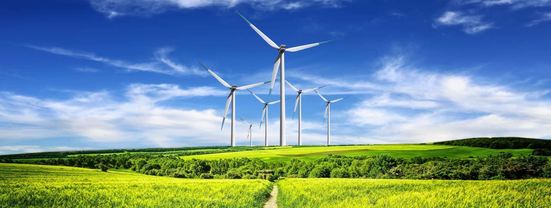 wind turbines, vibrant green field, bright blue sky, HD Desktop Wallpaper