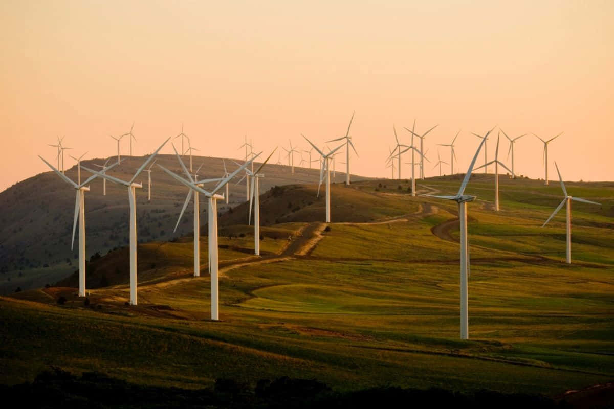 white wind turbines, rolling green hills, warm orange sunset sky, SD Desktop Wallpaper