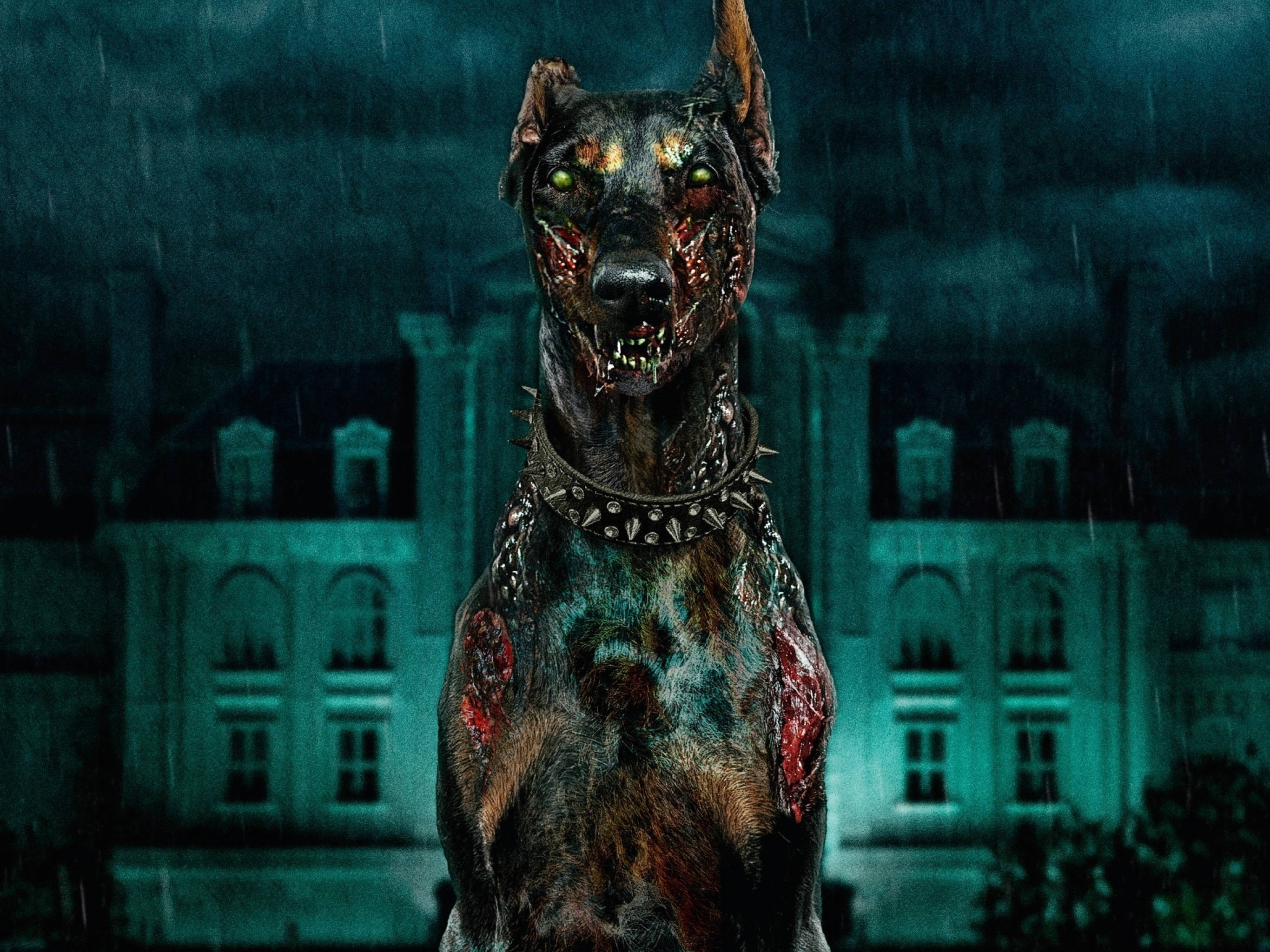 Resident Evil Welcome to Raccoon City, zombie dog, haunted mansion, 2K Desktop Wallpaper