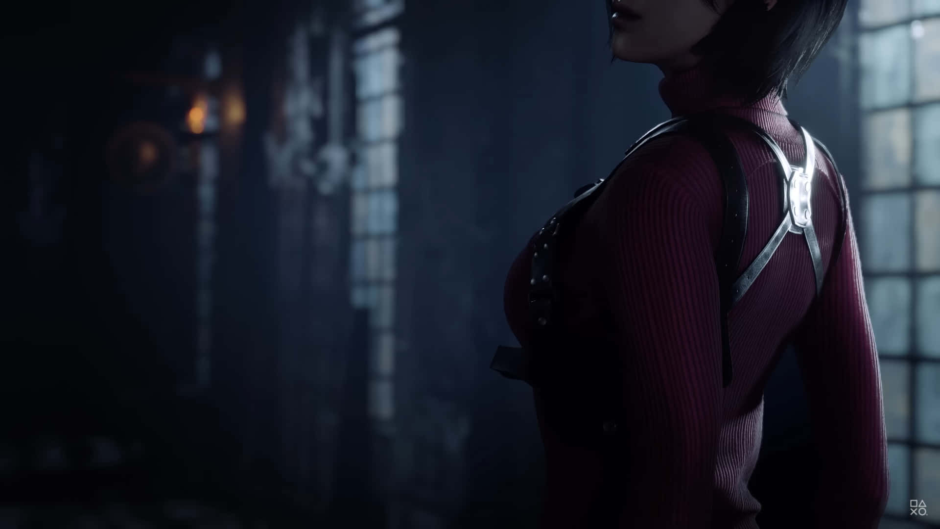 Resident Evil, red ribbed top, black harness, Full HD Desktop Wallpaper