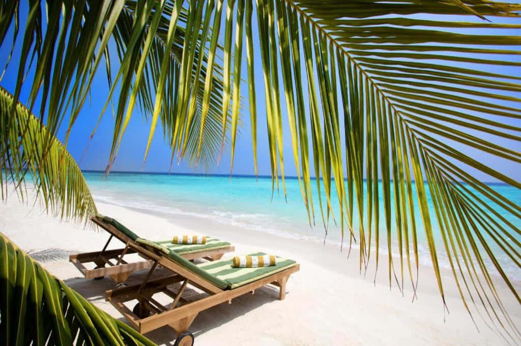 beach resort, wooden lounge chairs, green cushions, SD Desktop Wallpaper