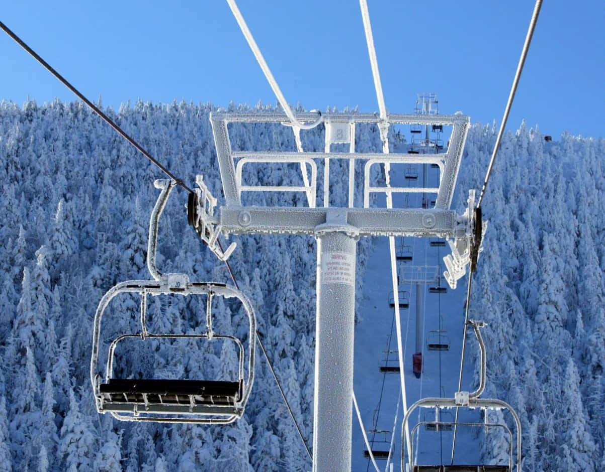 Seasonal Winter Enjoy Ski Resort, snow-covered pine trees, frozen ski lift chairs, SD Desktop Wallpaper