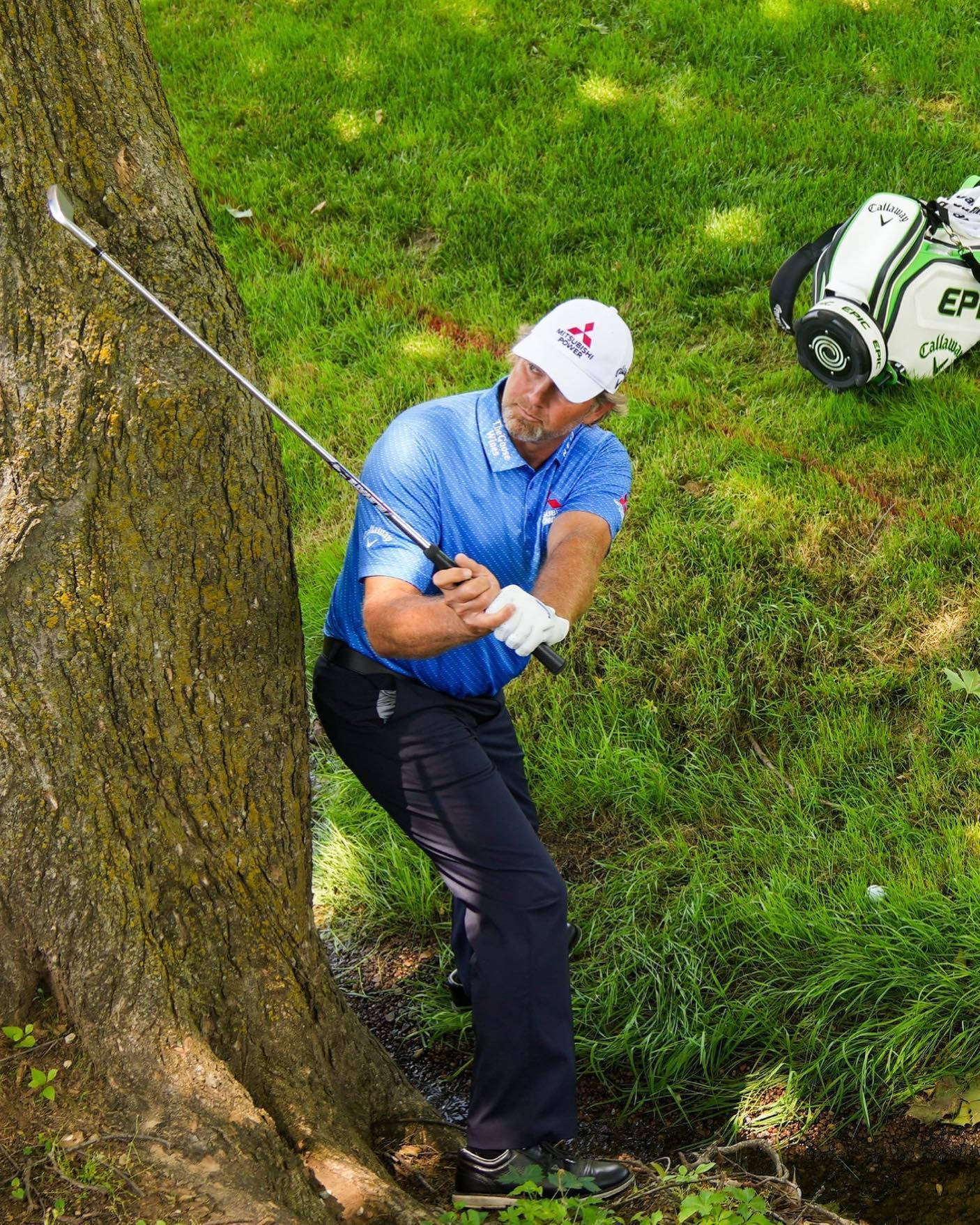 Retief Goosen, blue shirt, tree, HD Phone Wallpaper