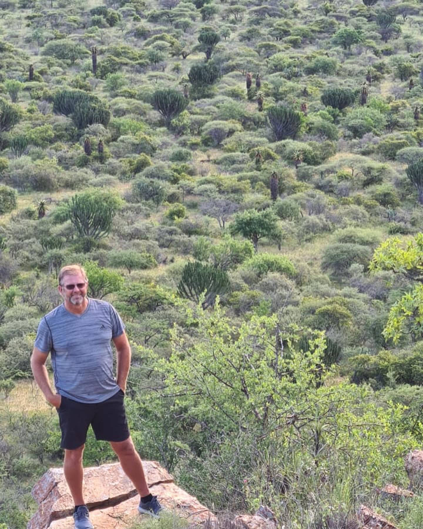 Retief Goosen, rocky outcrop, green bushveld landscape, HD Phone Wallpaper