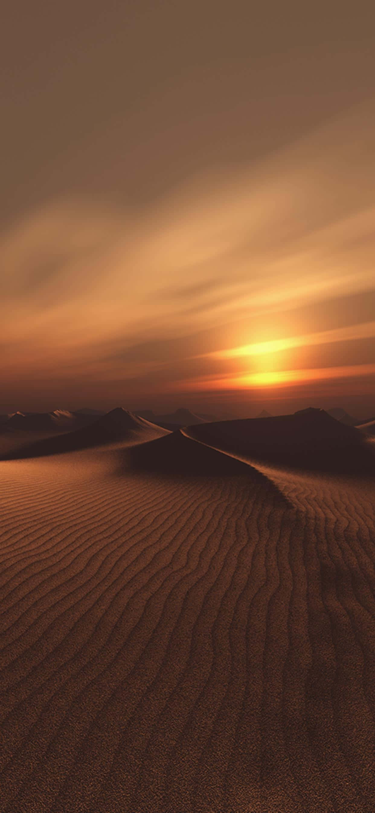 Retina Display, 1242 x 2688, desert sunset, 2K Phone Wallpaper