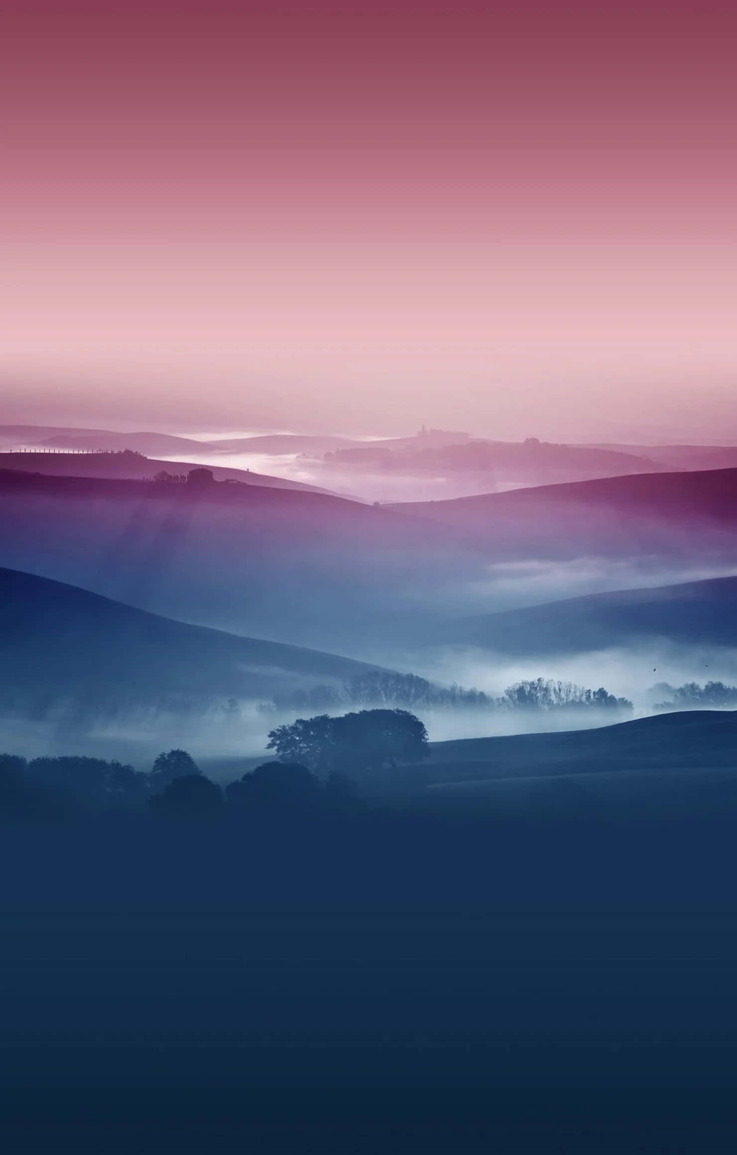 Retina Display, 1480 x 2320, pink, Full HD Phone Wallpaper