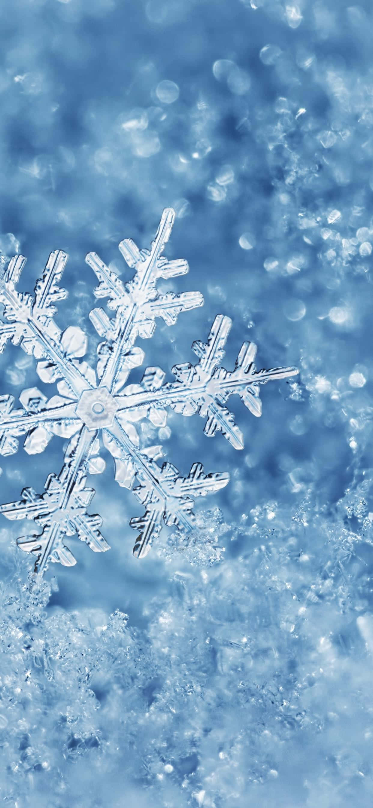 Retina Display, 1242 x 2688, snowflake, 2K Phone Wallpaper