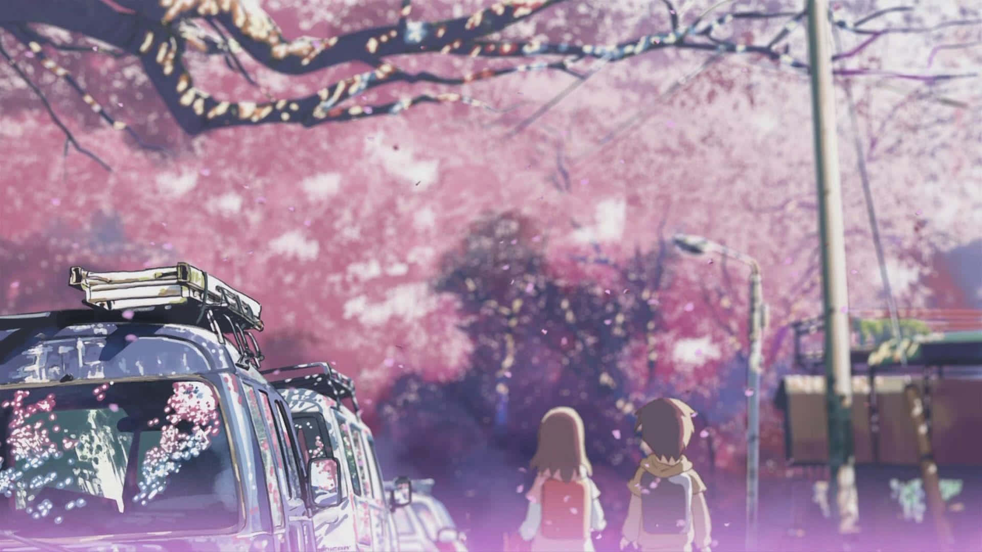 retro anime, pink cherry blossoms, anime characters, Full HD Desktop Wallpaper
