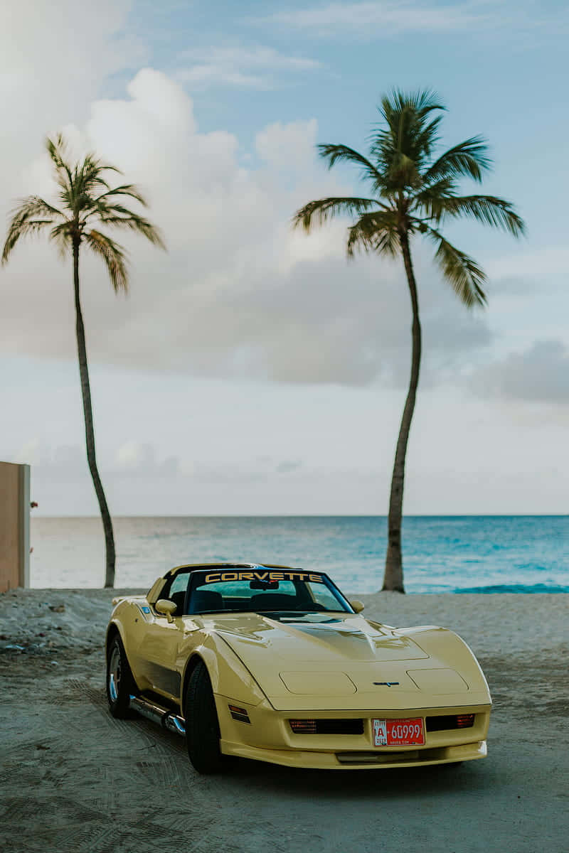 yellow Corvette, sandy beach, palm trees, SD Phone Wallpaper