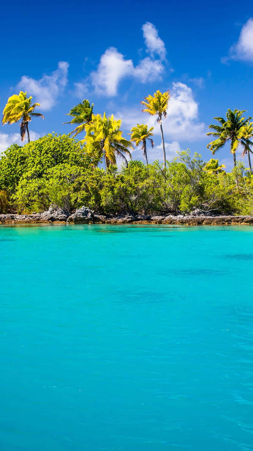 retro beach, turquoise water, lush green island, HD Phone Wallpaper