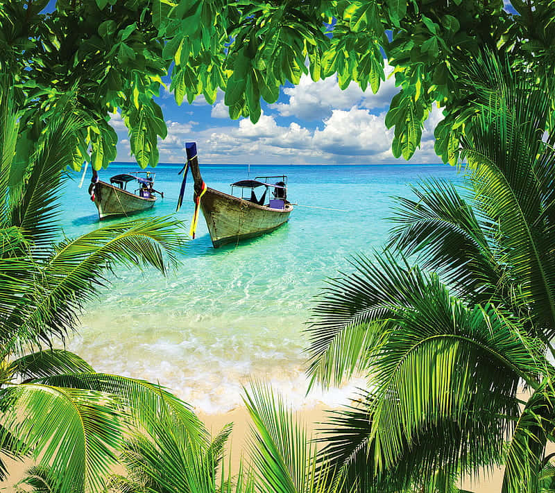 Retro Beach, tropical paradise, lush palm fronds, SD Desktop Wallpaper