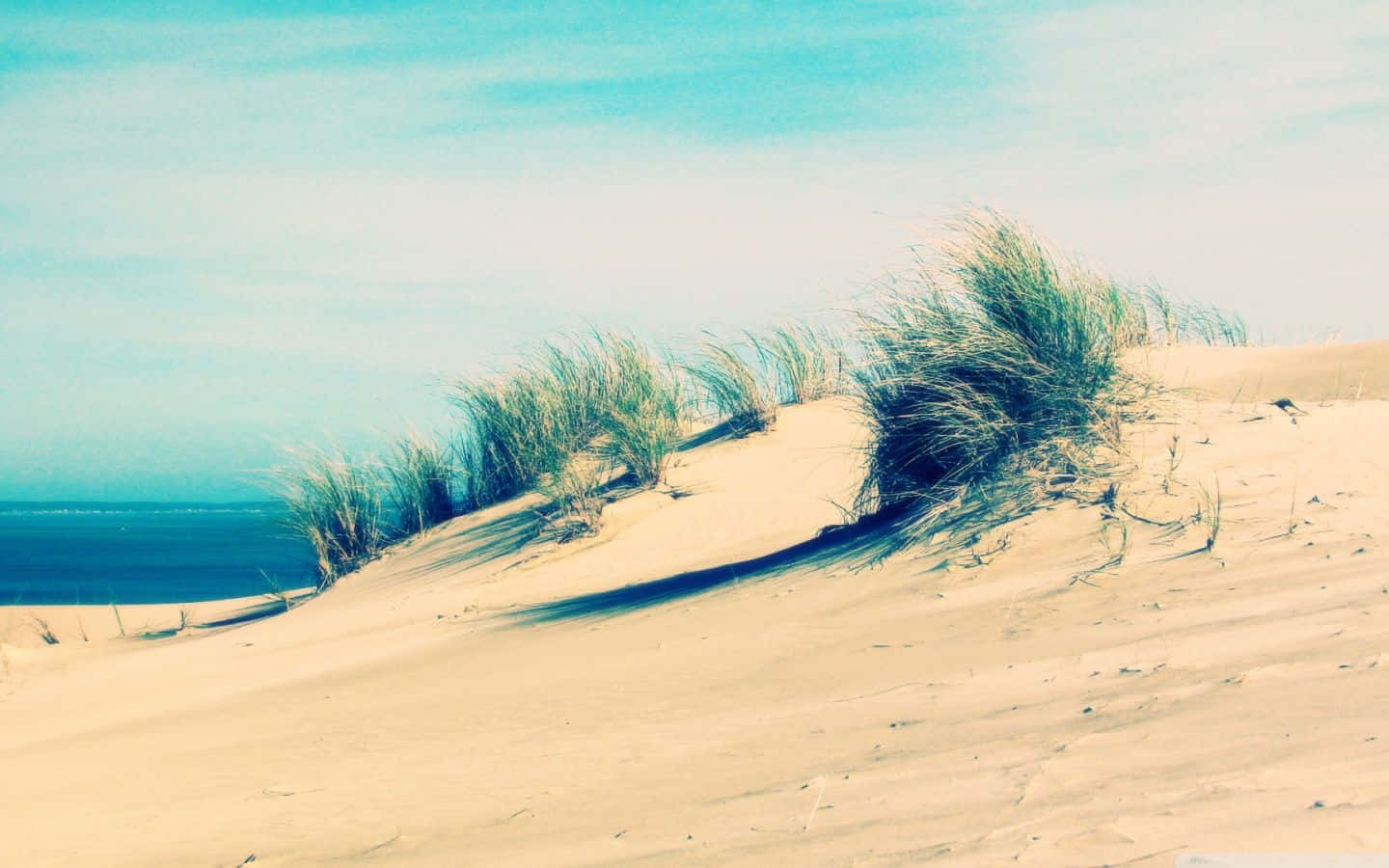 Retro Beach, sand dune, grass, HD Desktop Wallpaper