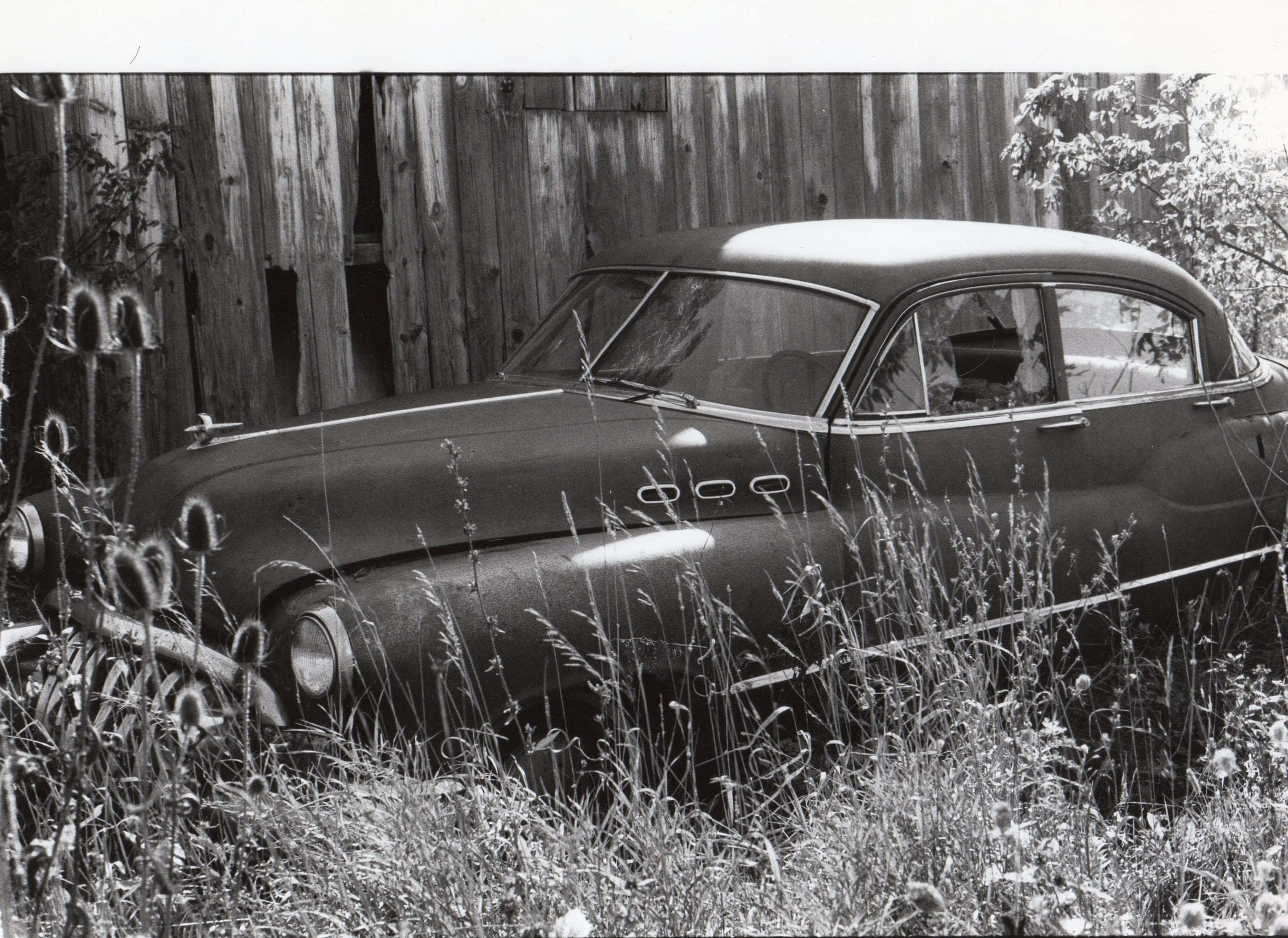 vintage car, overgrown weeds, weathered wooden fence, 2K Desktop Wallpaper