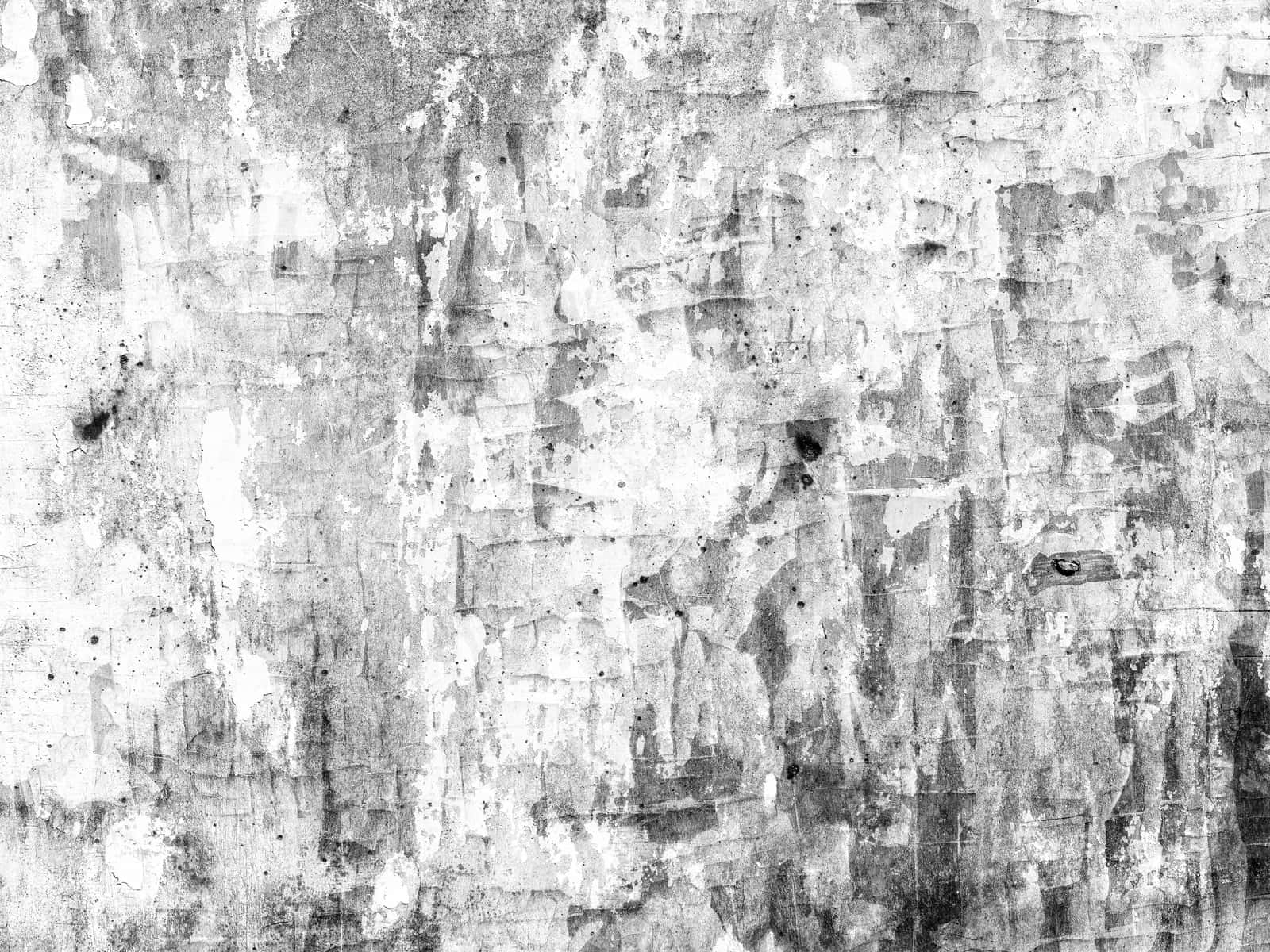 monochrome, peeling paint, textured grime, HD Desktop Wallpaper