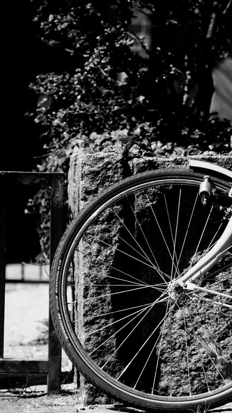 bicycle wheel, weathered stone wall, foliage, HD Phone Wallpaper