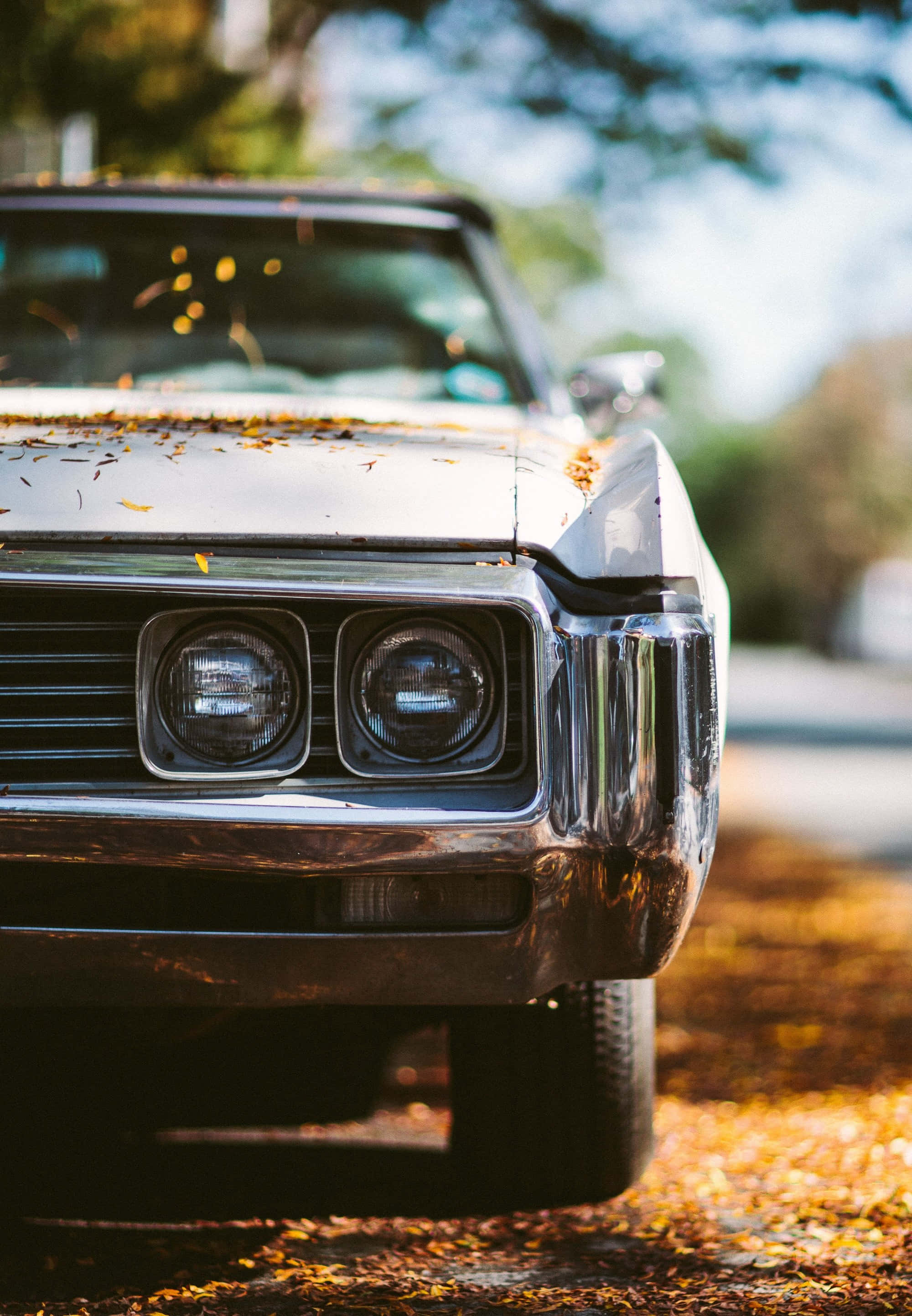 chrome front grille, headlights, autumn leaves, 2K Phone Wallpaper
