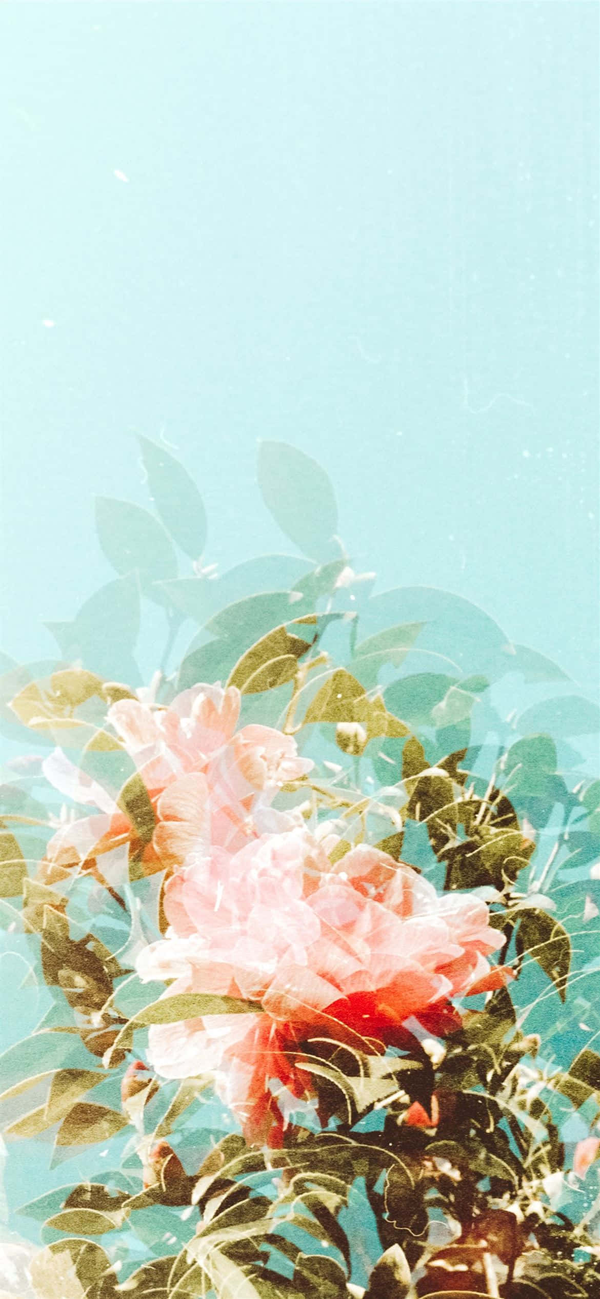vintage floral artwork, soft pink peonies, green leaves, Full HD Phone Wallpaper