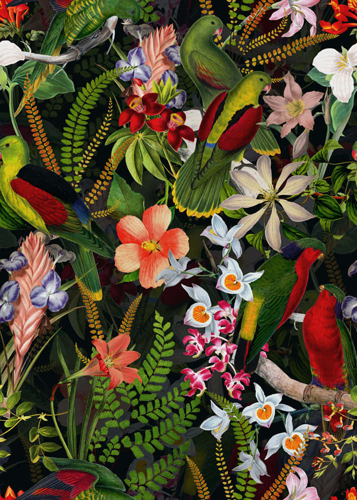 vintage flower, tropical birds, exotic flowers, SD Phone Wallpaper