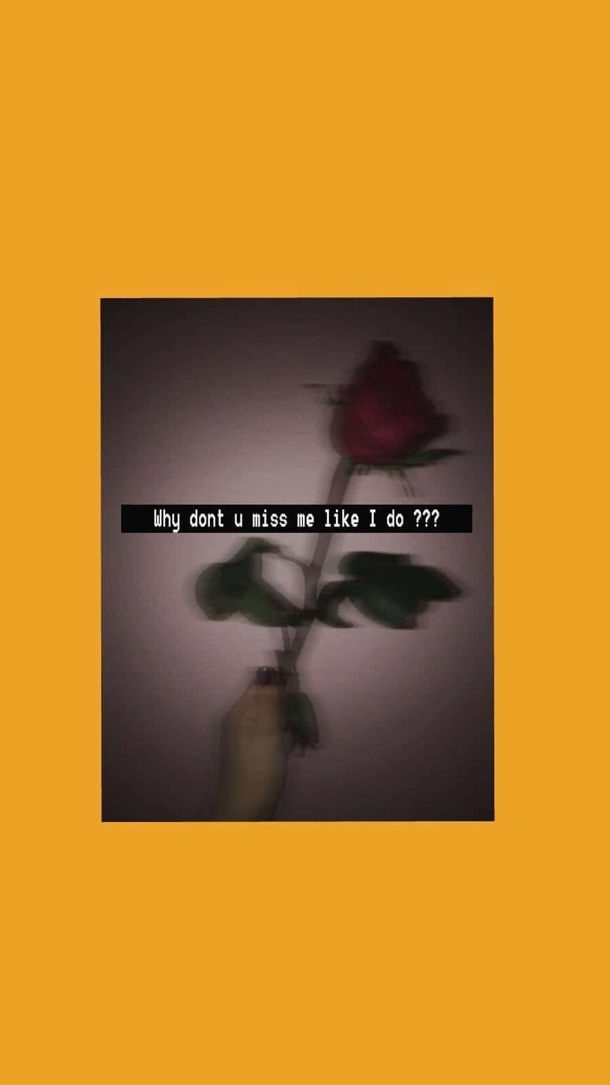 vintage grunge aesthetic, red rose, gray wall, HD Phone Wallpaper