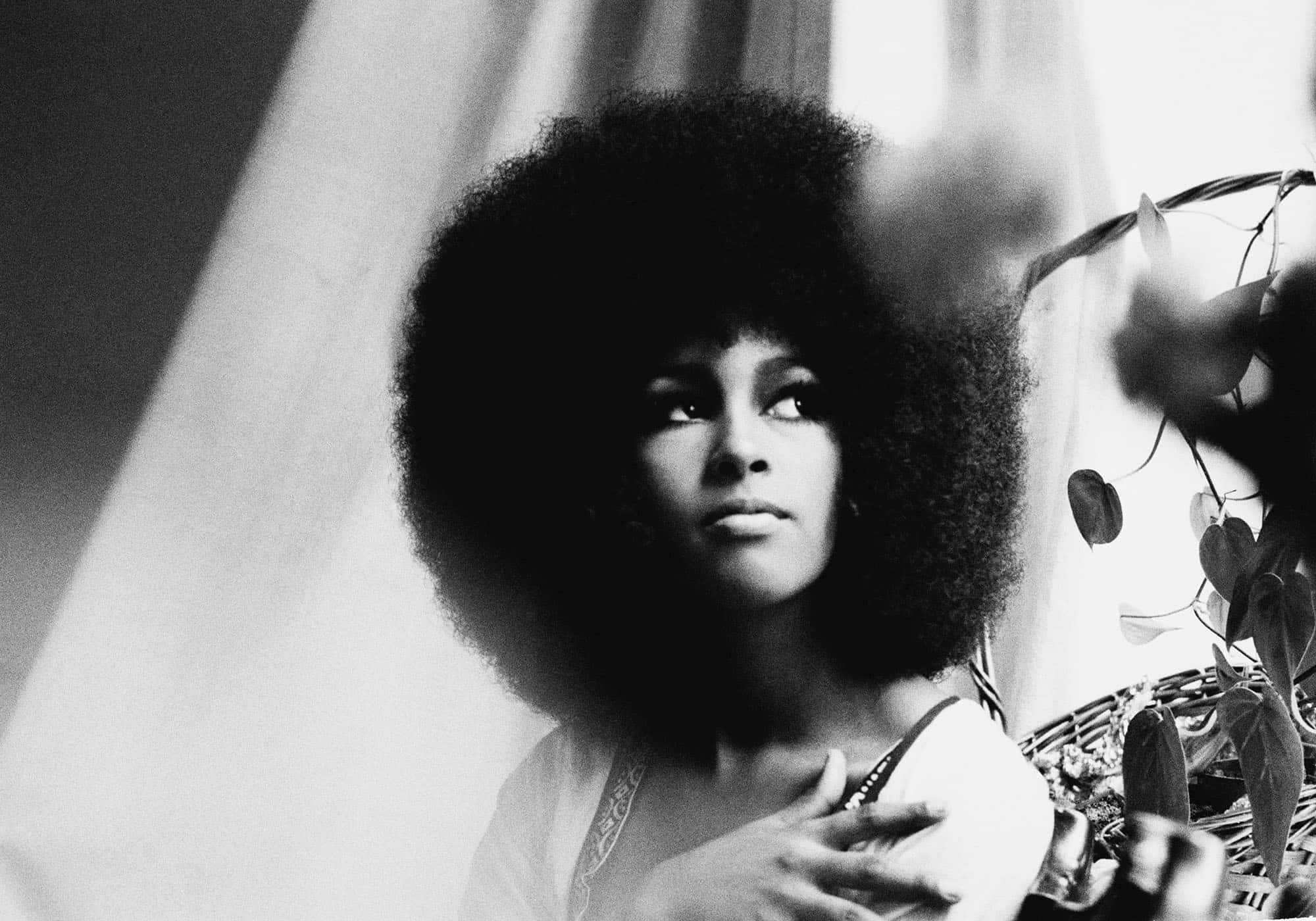 vintage afro hairstyle, black and white portrait, woman, Full HD Desktop Wallpaper