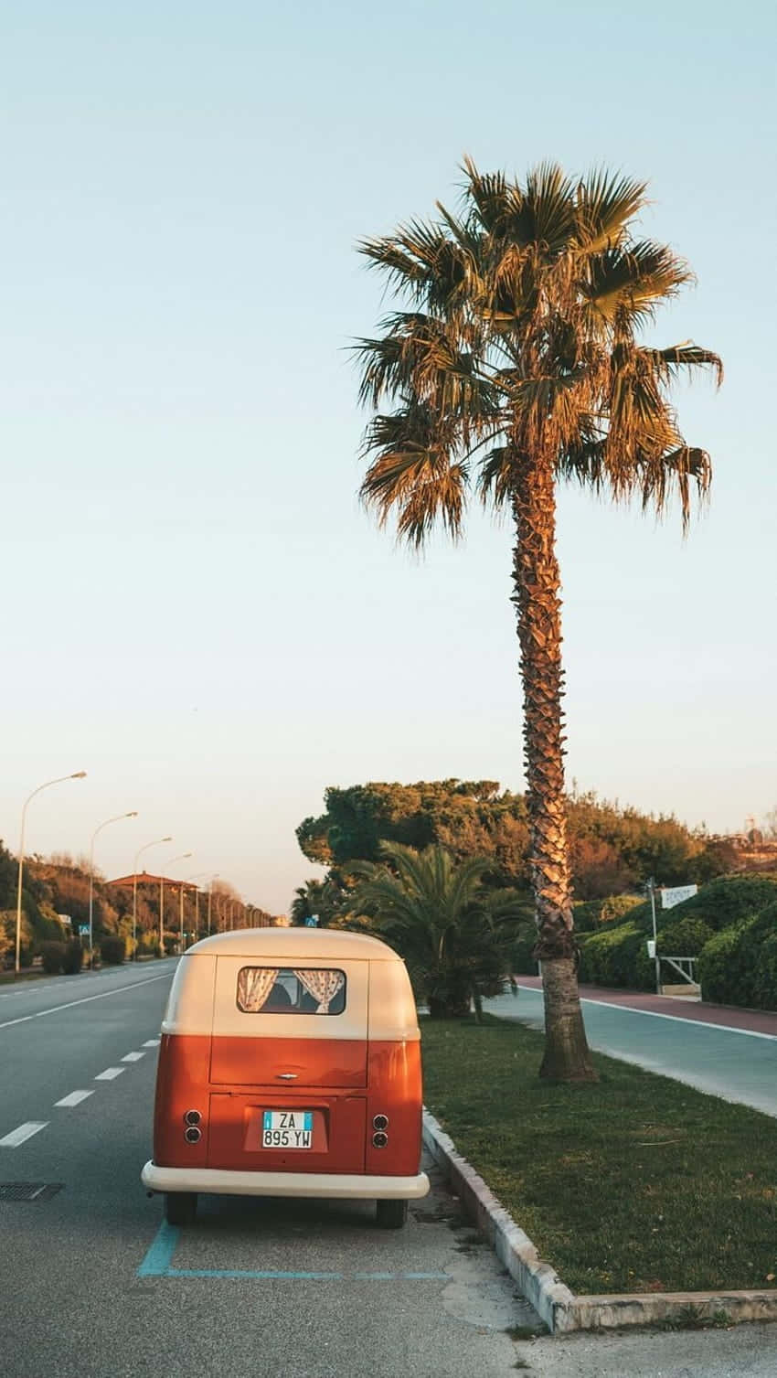 vintage orange and white Volkswagen van, tall palm tree, quiet coastal road, HD Phone Wallpaper