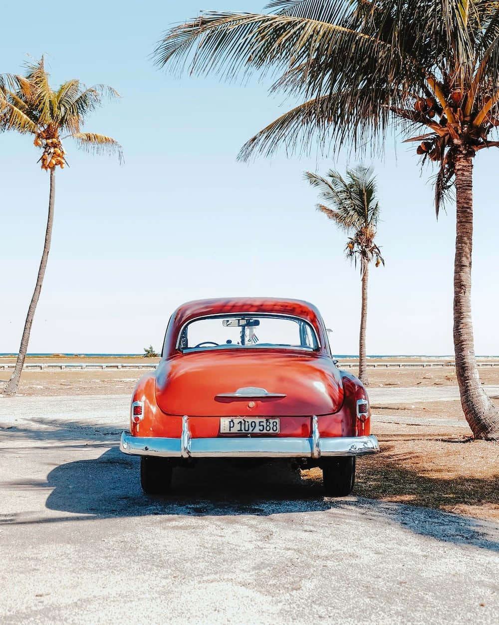 vintage red car, palm trees, sunny coastal road, SD Phone Wallpaper