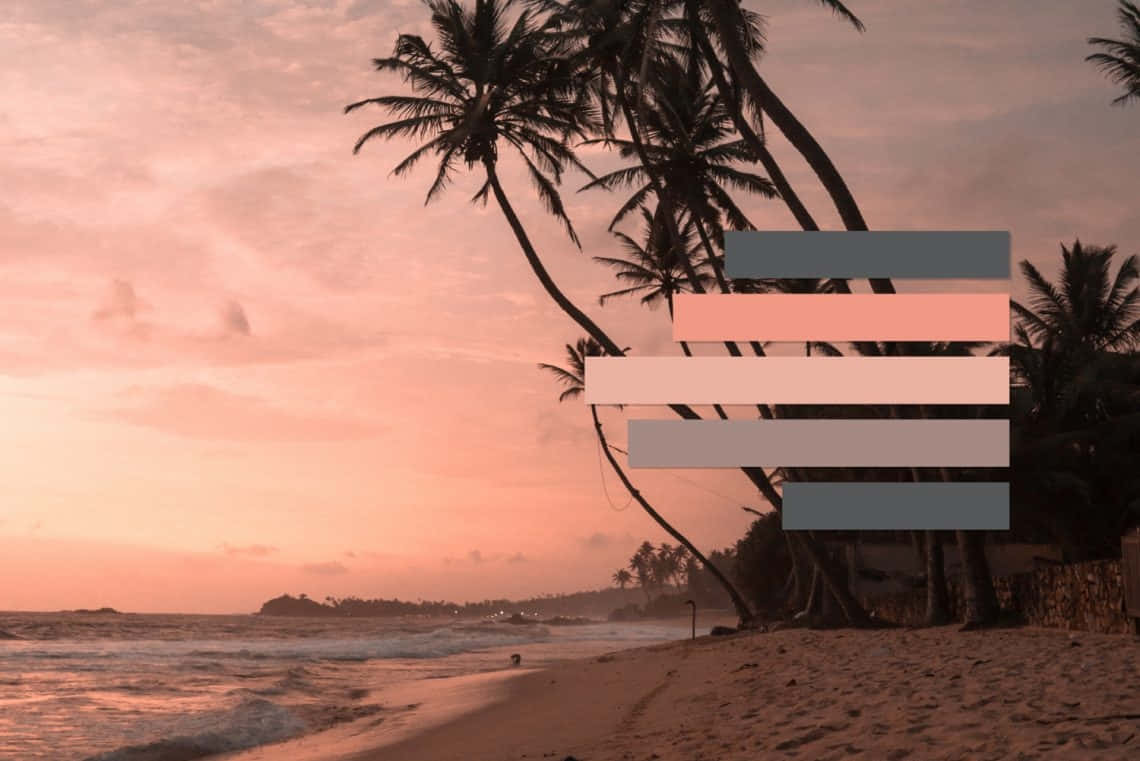 Retro Summer Beach Sunset, palm trees, sandy beach, SD Desktop Wallpaper