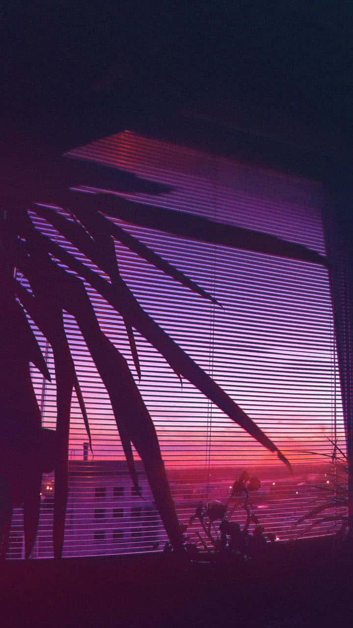 Retro Sunset, palm fronds, vibrant purple and pink sunset, HD Phone Wallpaper