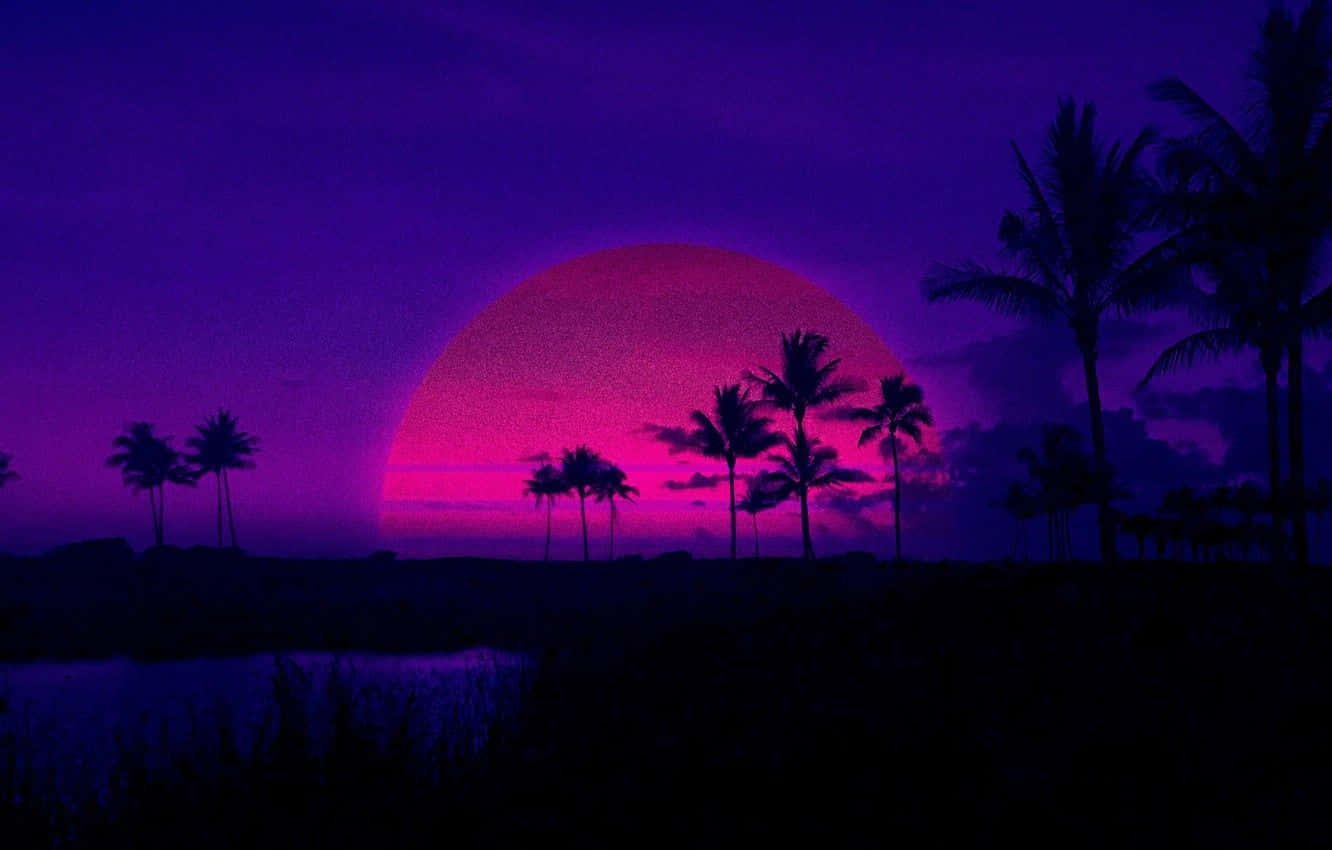 retro sunset, pink sun, silhouetted palm trees, HD Desktop Wallpaper