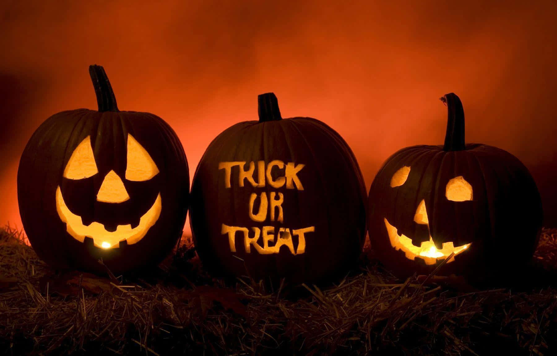 jack-o'-lanterns, carved faces, trick or treat text, HD Desktop Wallpaper