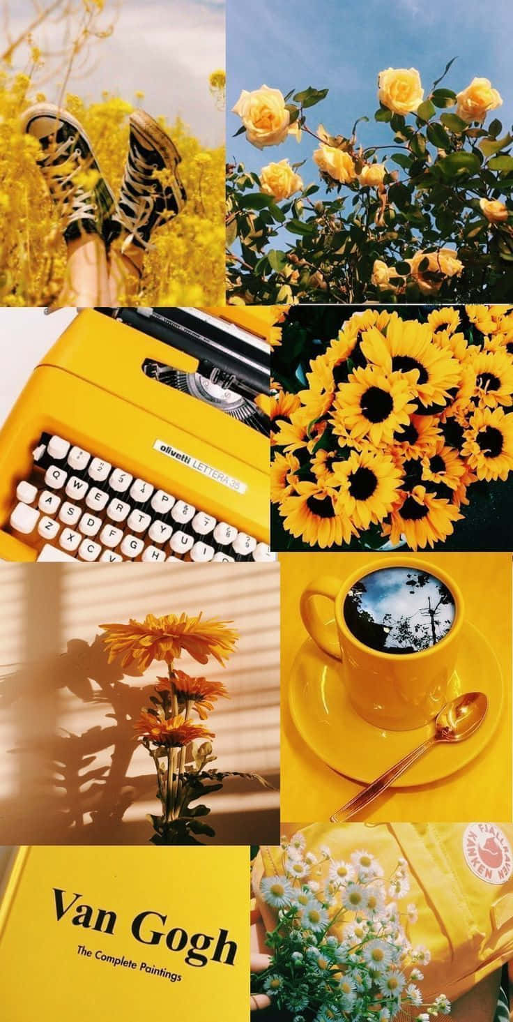retro yellow, bright yellow backdrop, sunflowers, HD Phone Wallpaper