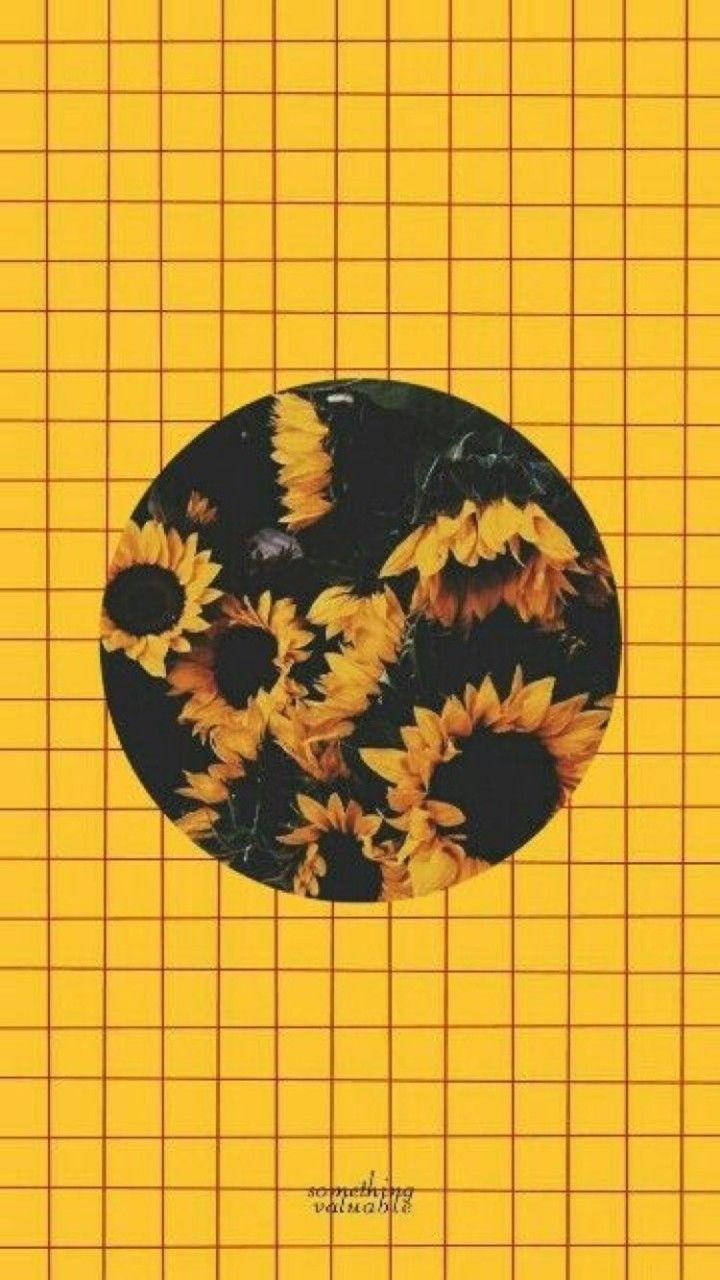 yellow vintage aesthetic display, sunflowers, circular frame, HD Phone Wallpaper