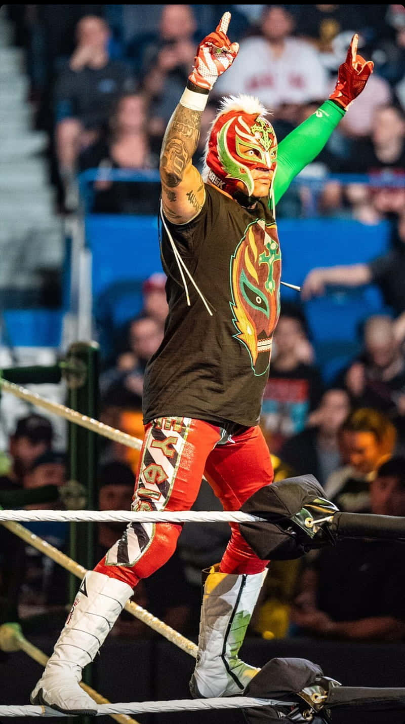 Rey Mysterio, red green and gold gear, wrestling ring rope, HD Phone Wallpaper