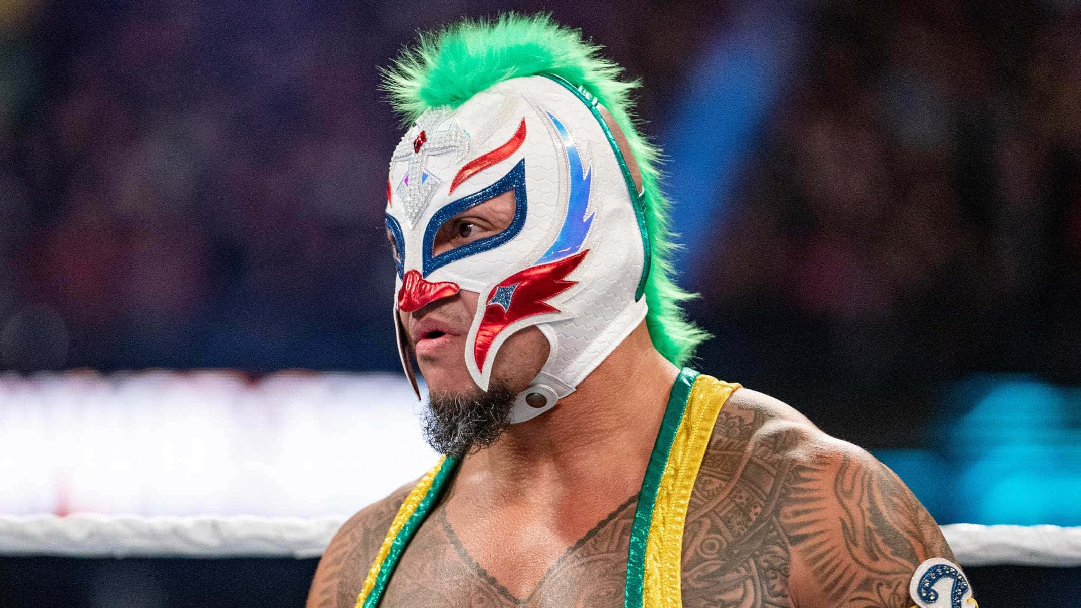 Rey Mysterio, luchador mask, white red and blue mask, Full HD Desktop Wallpaper
