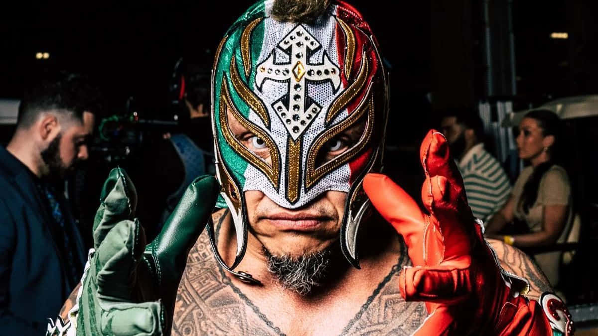 Rey Mysterio, lucha libre wrestler, green red and gold mask, SD Desktop Wallpaper