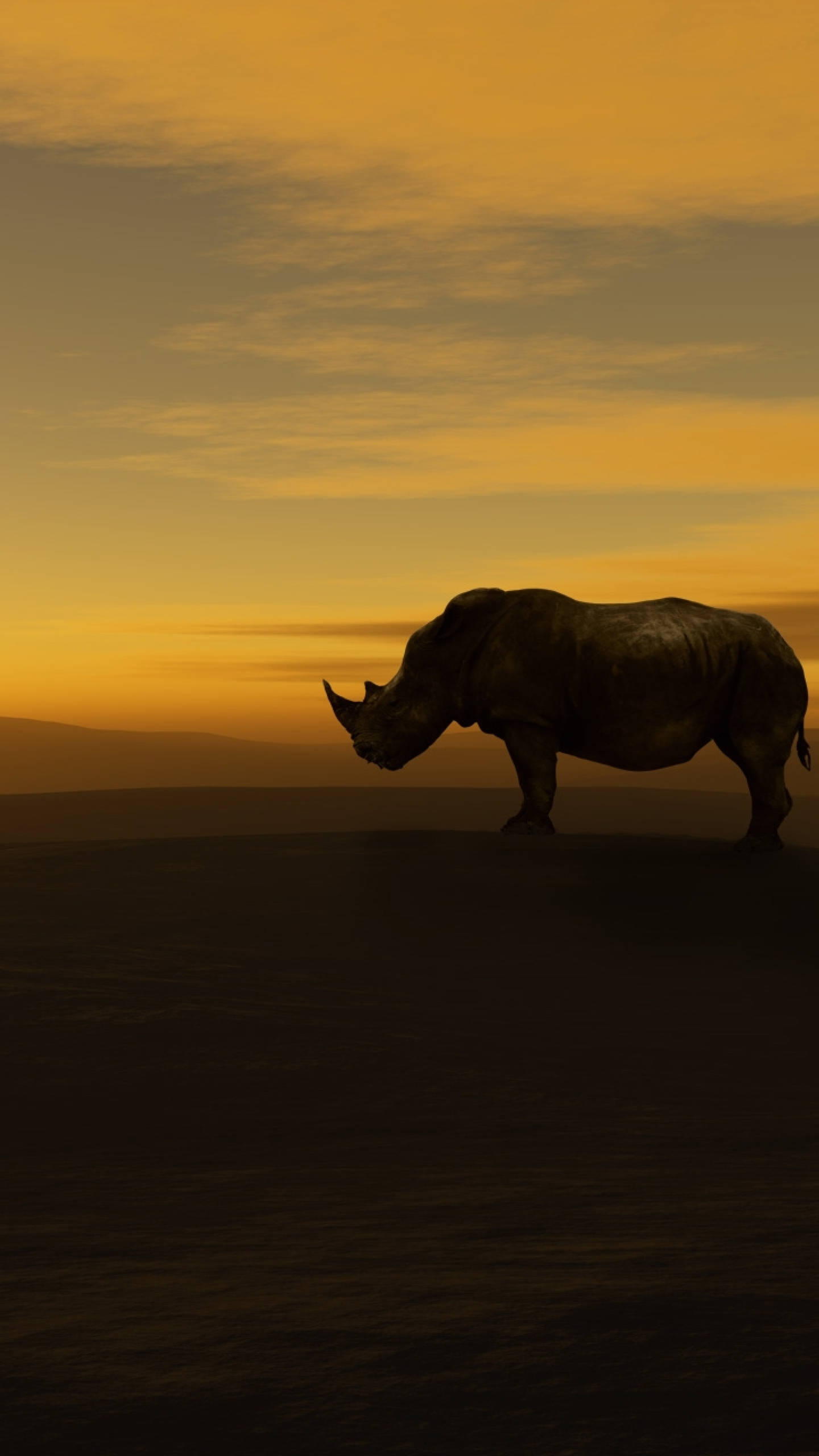 Rhinoceros, sundown, golden sunset, 2K Phone Wallpaper