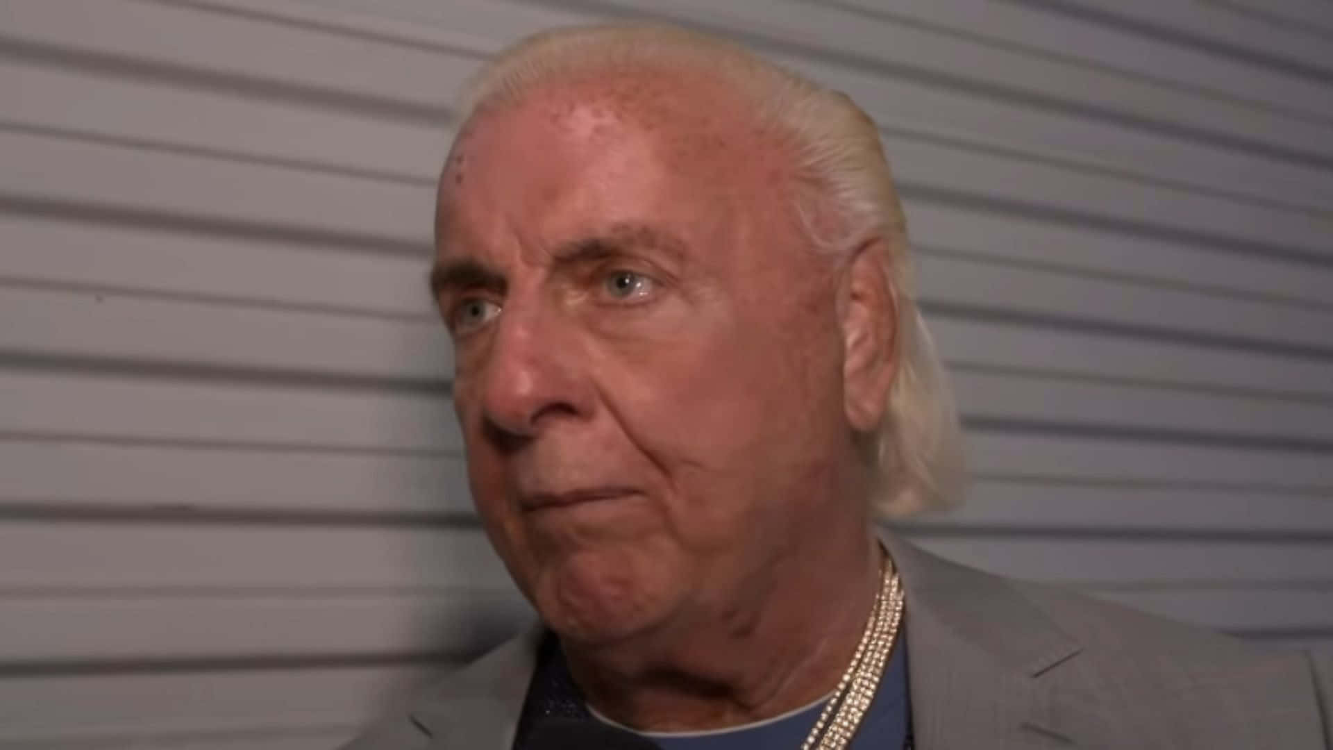 Ric Flair, grey suit, gold necklace, Full HD Desktop Wallpaper