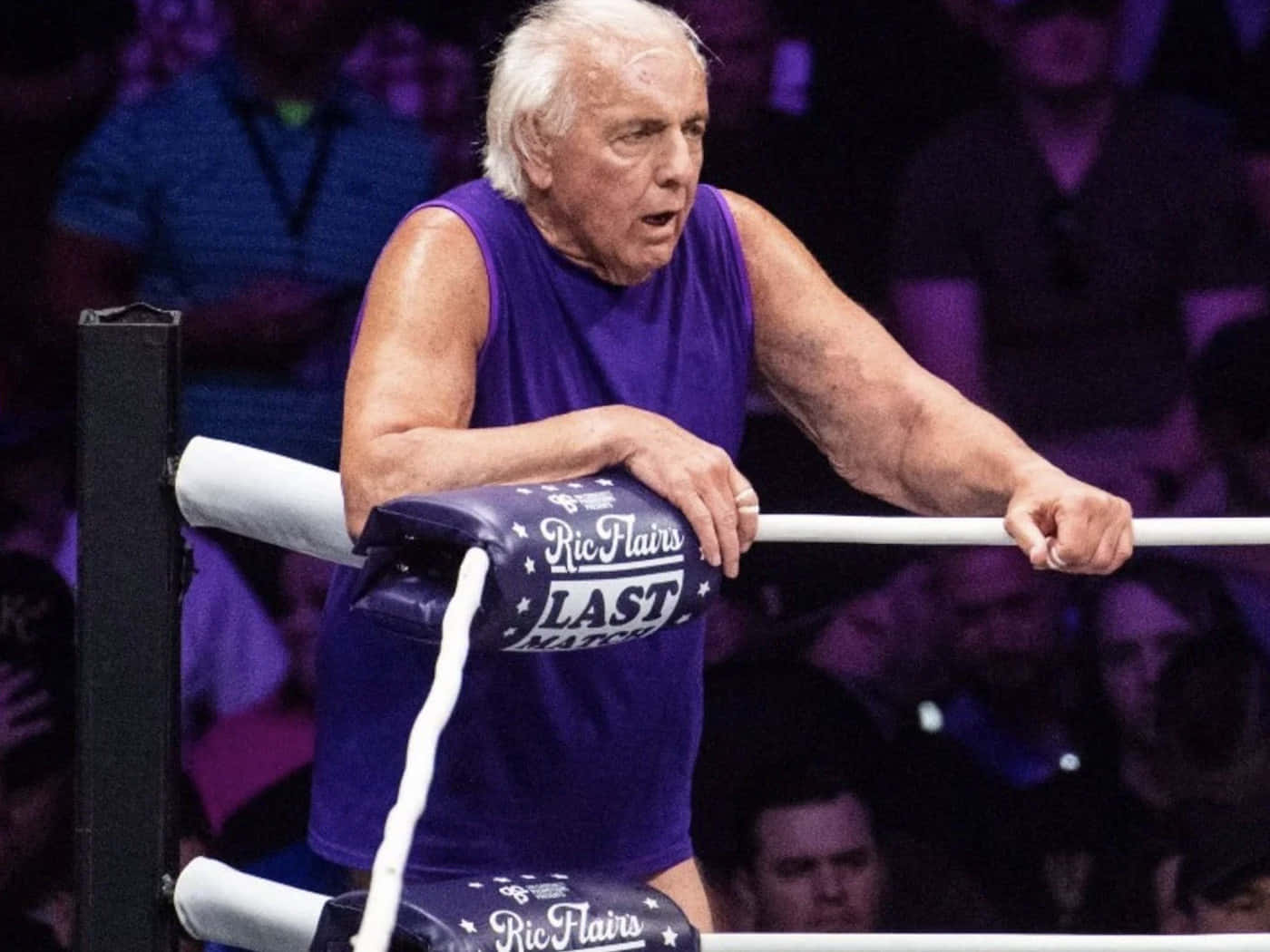 Ric Flair, purple tank top, ring rope, HD Desktop Wallpaper