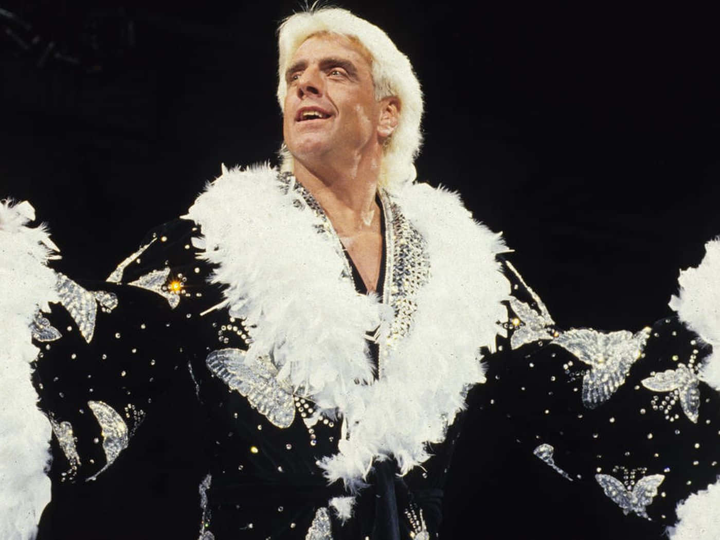 Ric Flair, black sequined jacket, white feather trim, HD Desktop Wallpaper