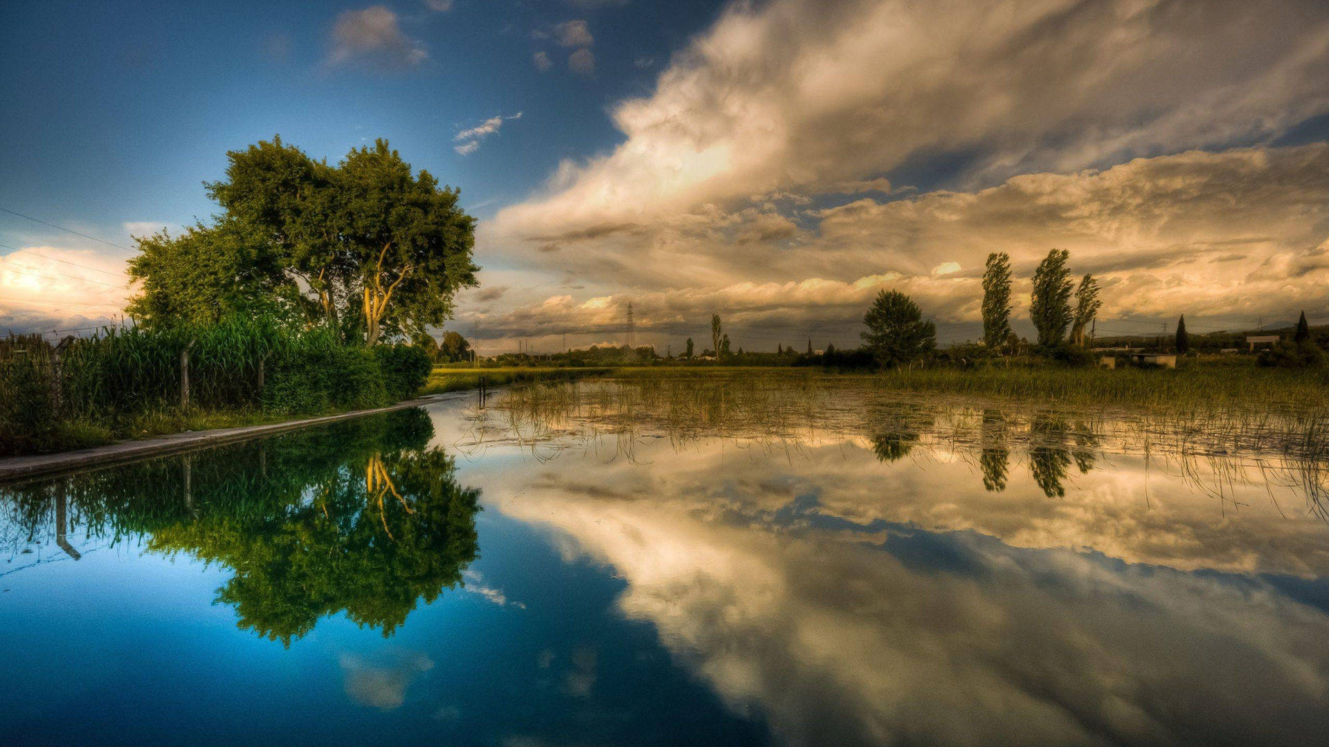 Rice Field, Golden Clouds, Lush Green Trees, Full HD Desktop Wallpaper