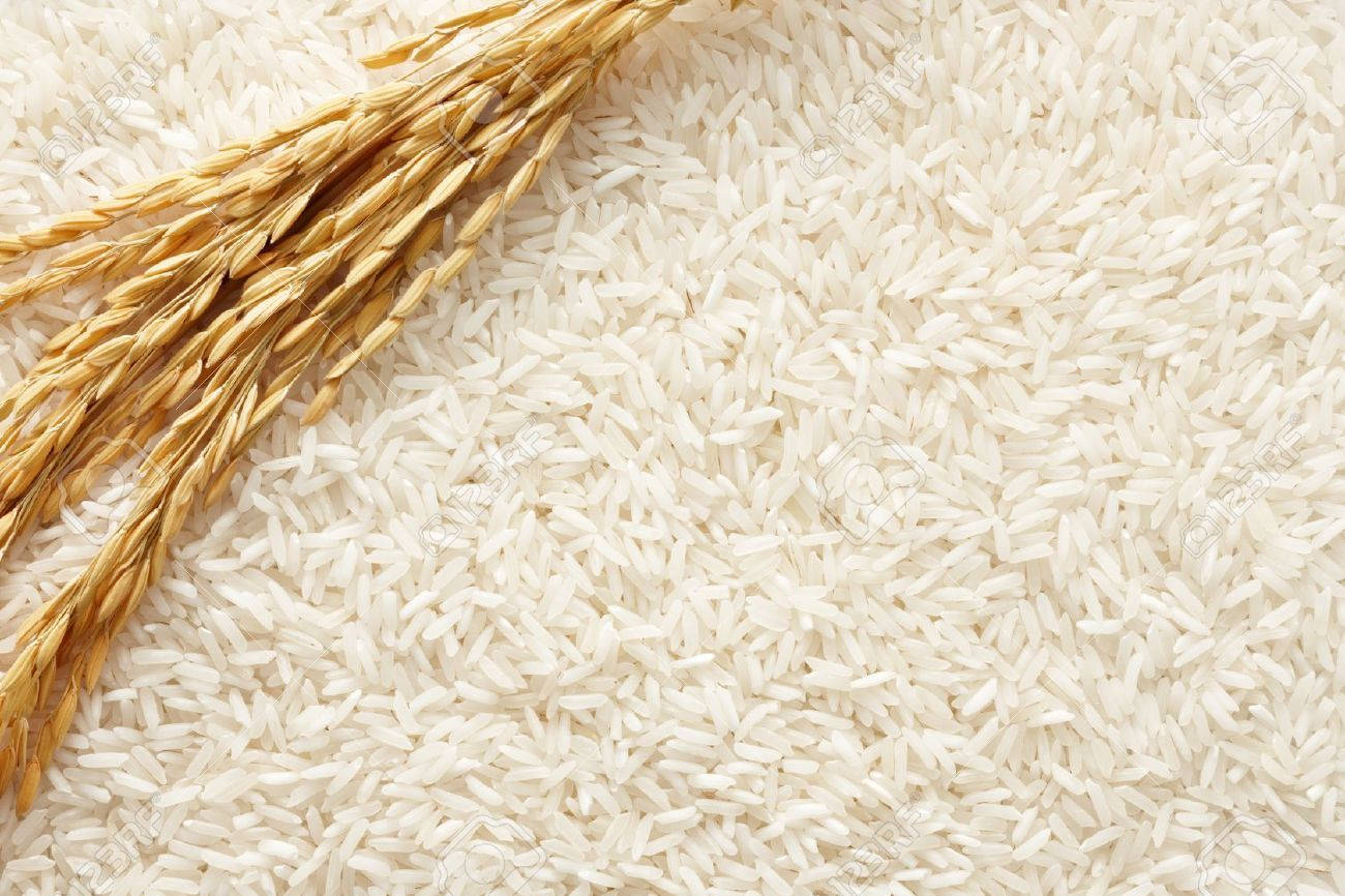 ripe sprig of rice, golden rice stalks, polished white rice grains, HD Desktop Wallpaper