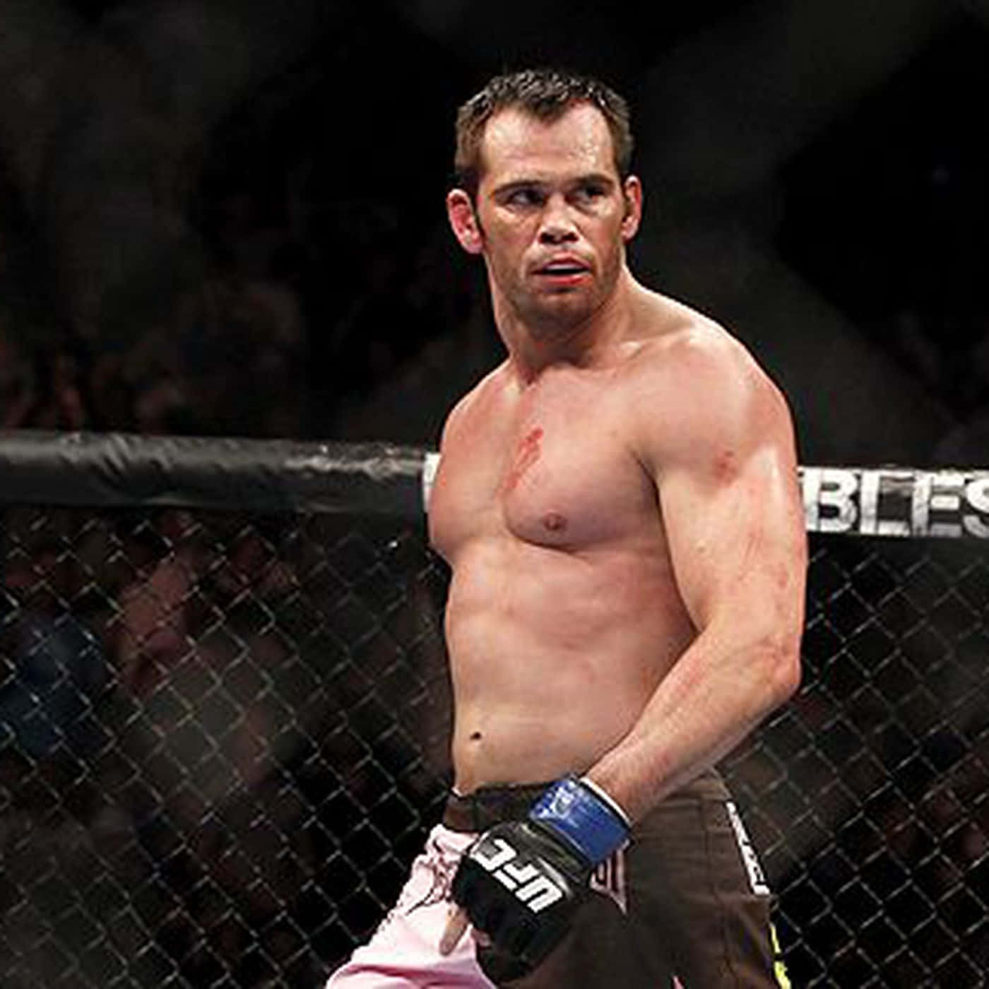 Rich Franklin, octagon, blood on his chest, HD Desktop Wallpaper