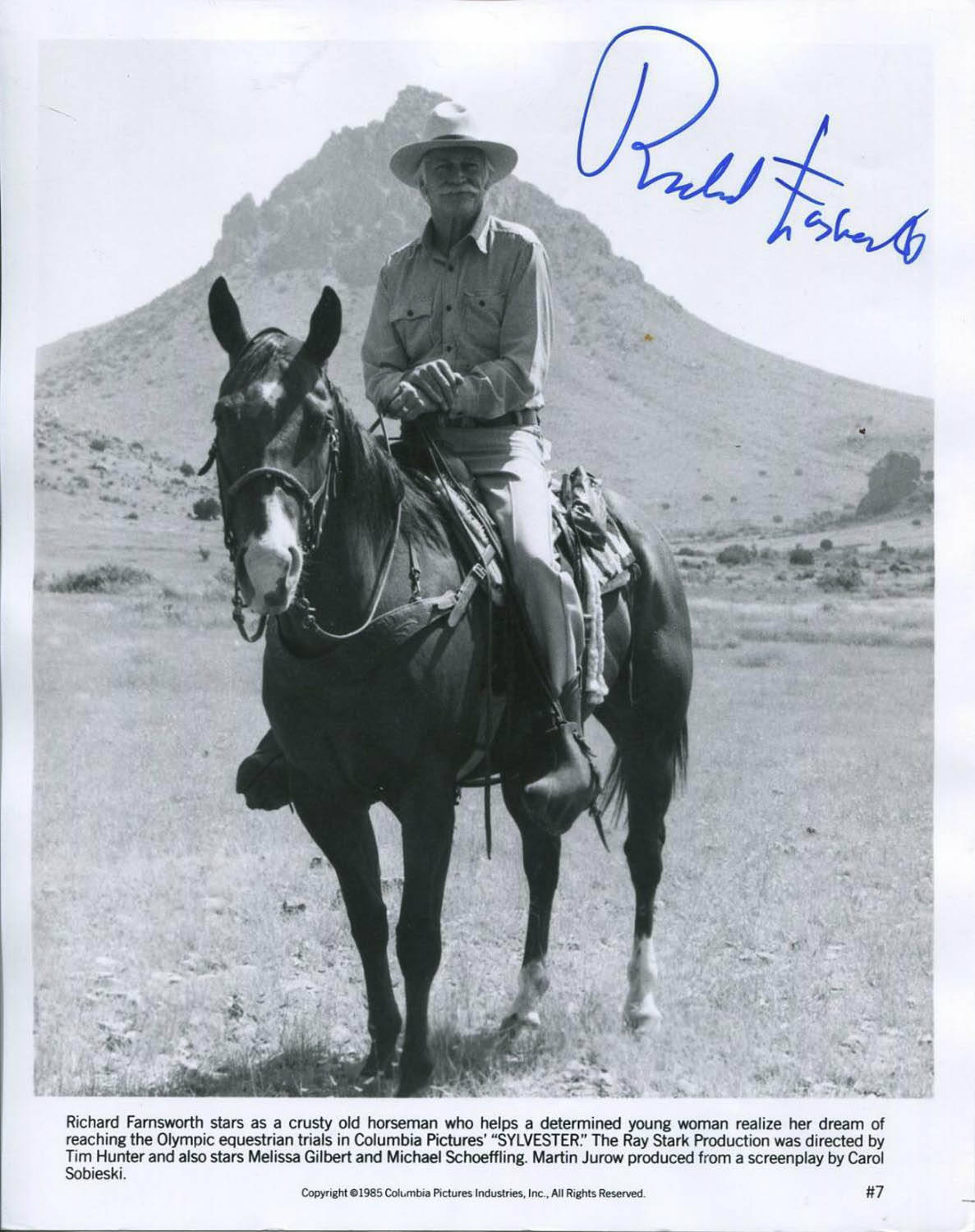 Richard Farnsworth, horse, desert landscape, HD Phone Wallpaper